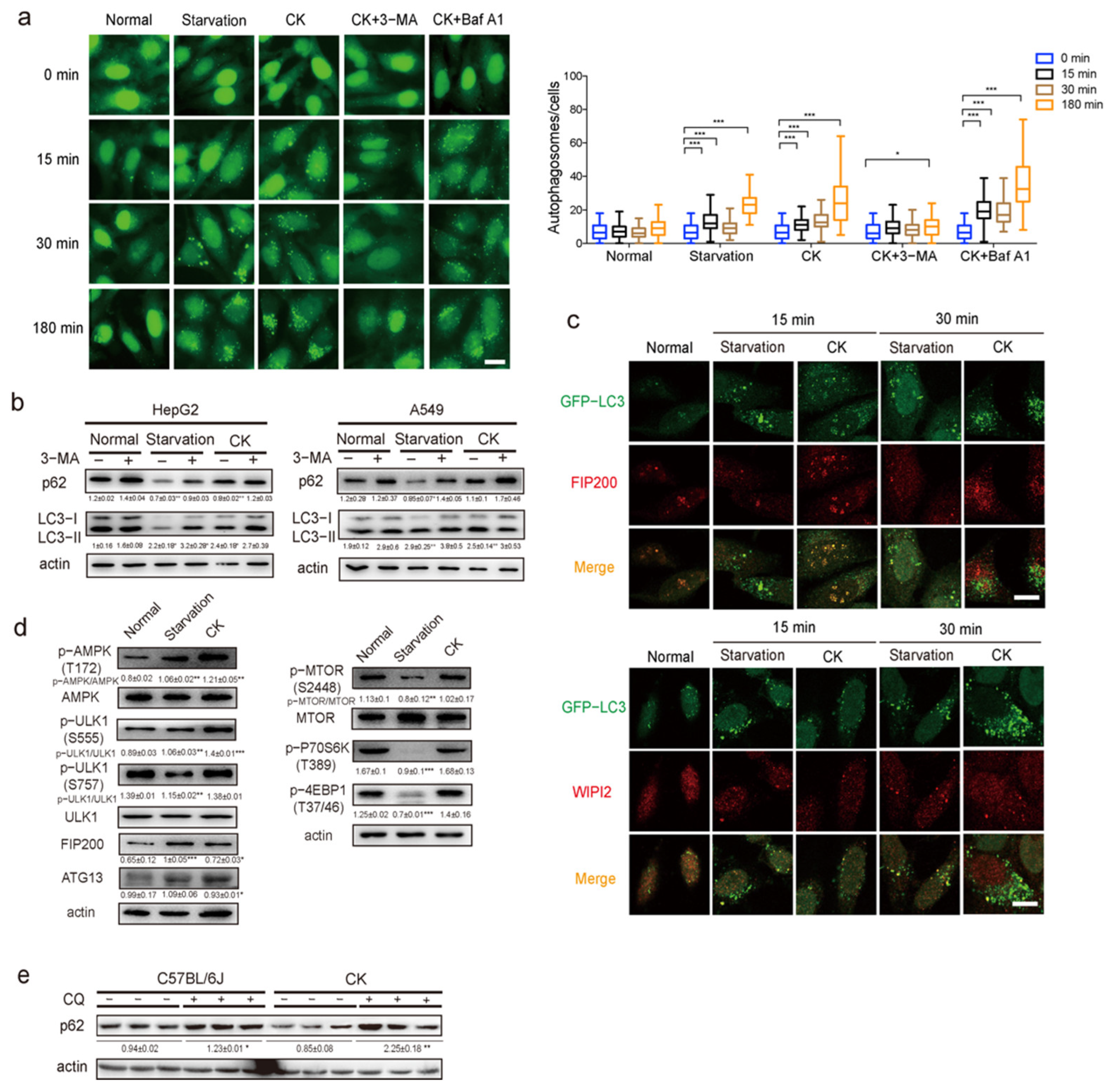 Pharmaceutics 14 01192 g004