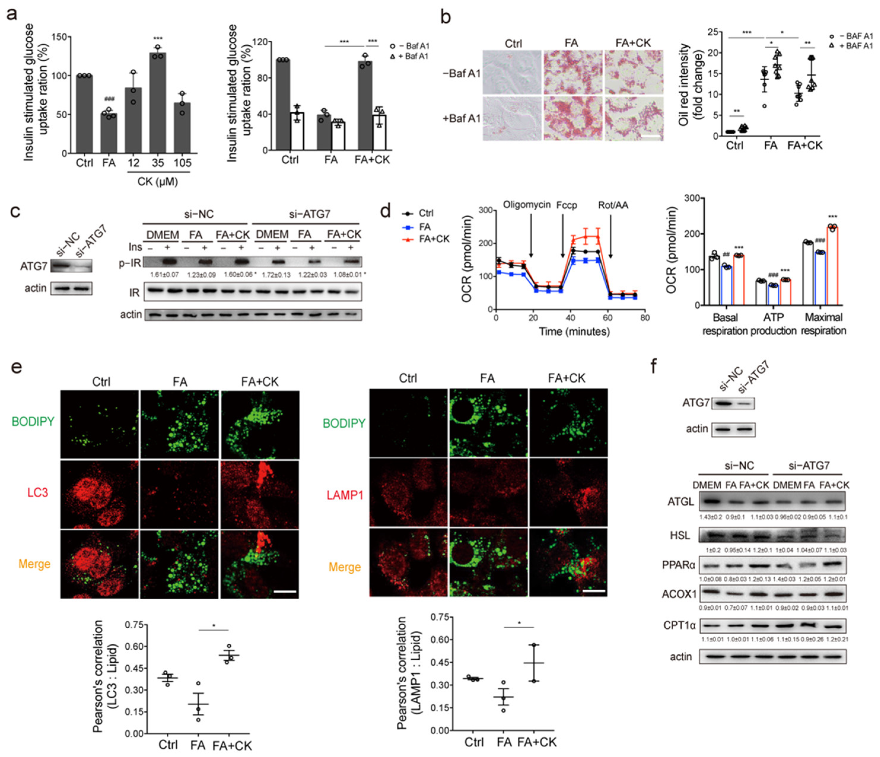 Pharmaceutics 14 01192 g005