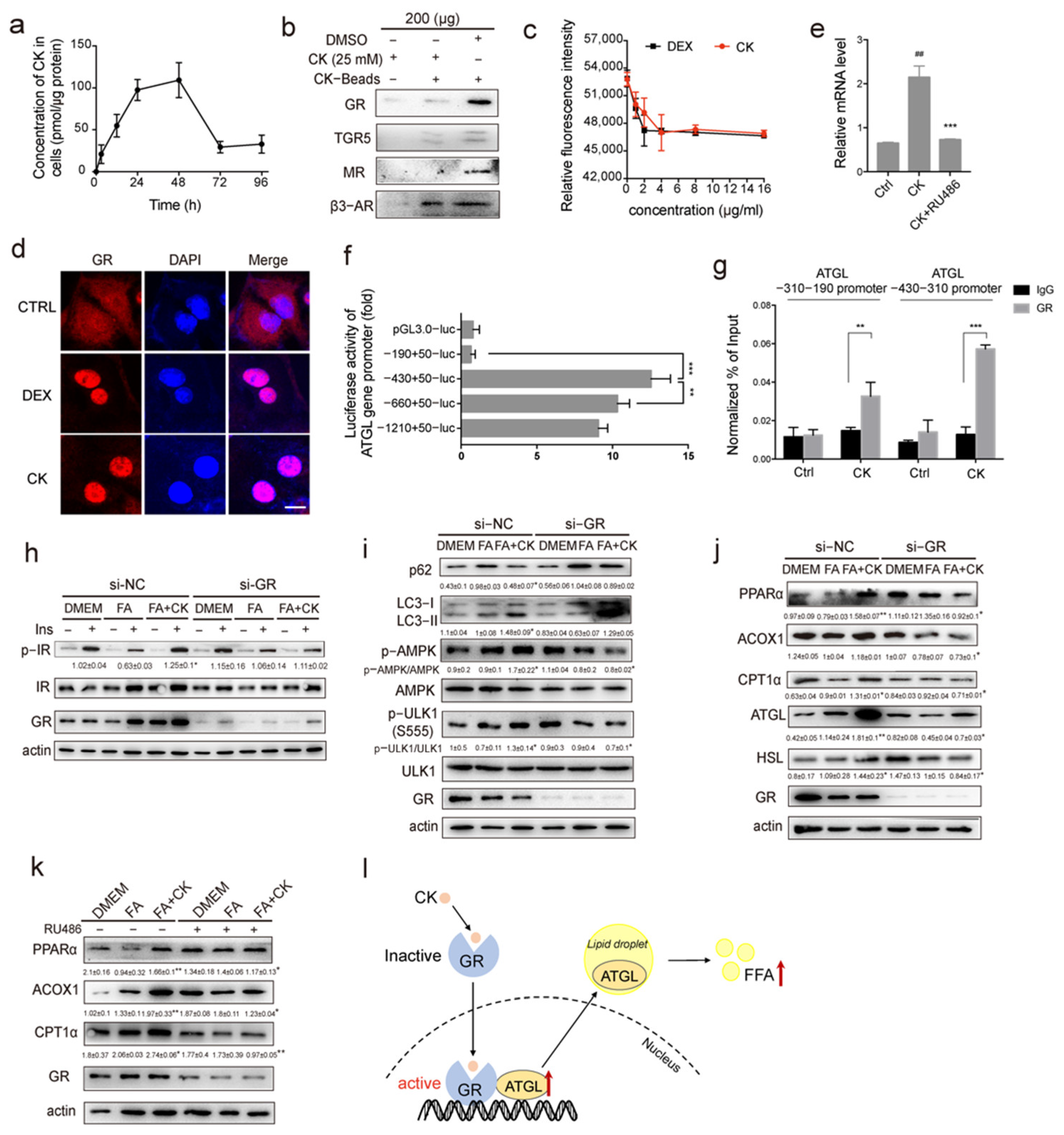 Pharmaceutics 14 01192 g006