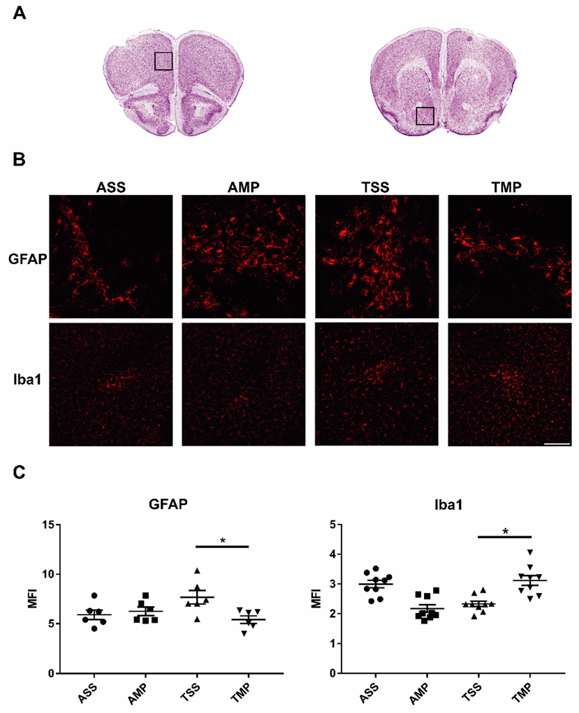 Pharmaceutics 14 01195 g004 Pharmaceutics 14 01195 g004