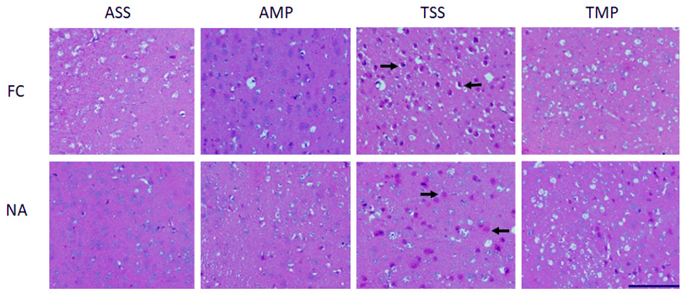 Pharmaceutics 14 01195 g005 Pharmaceutics 14 01195 g005