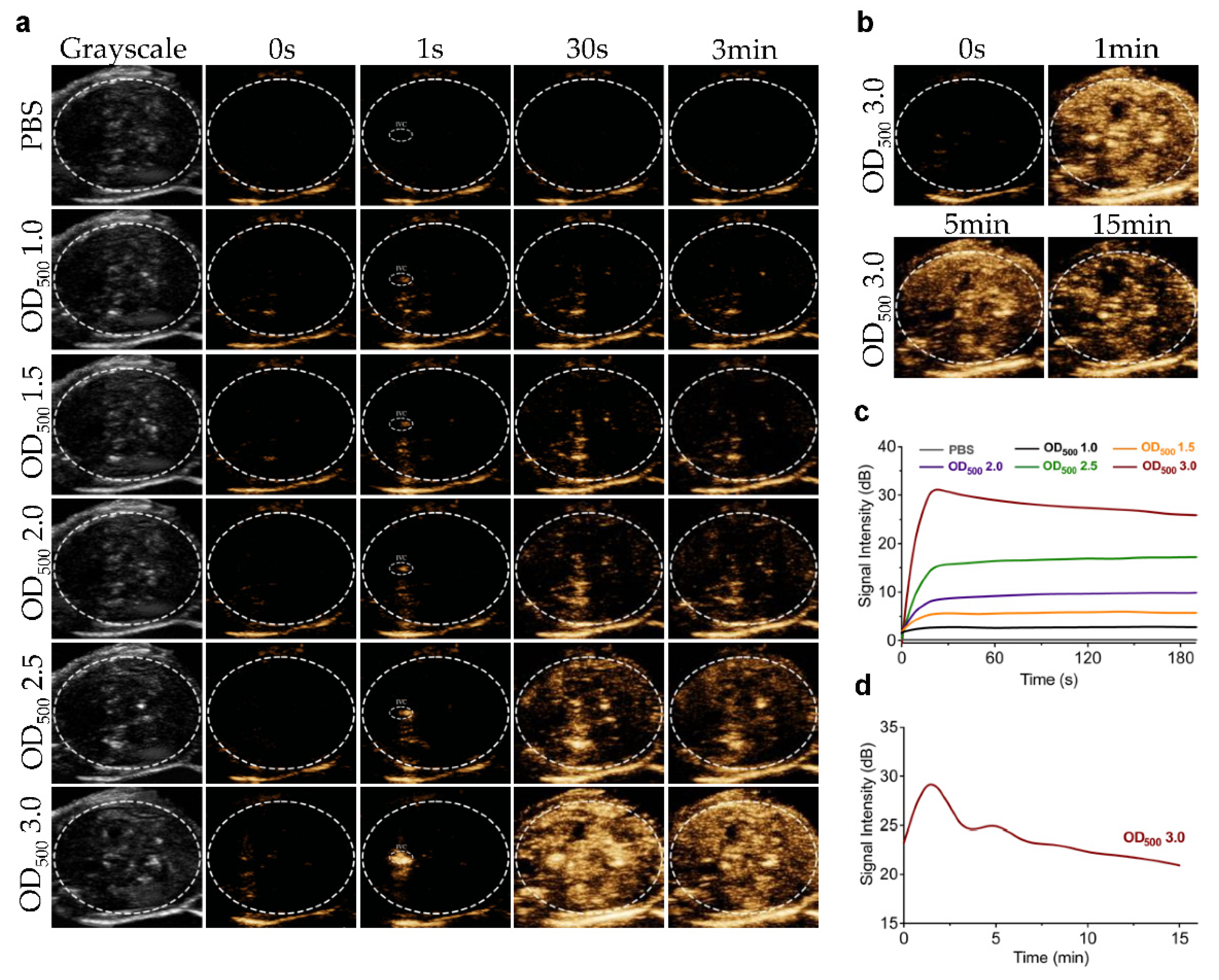 Pharmaceutics 14 01198 g003 550