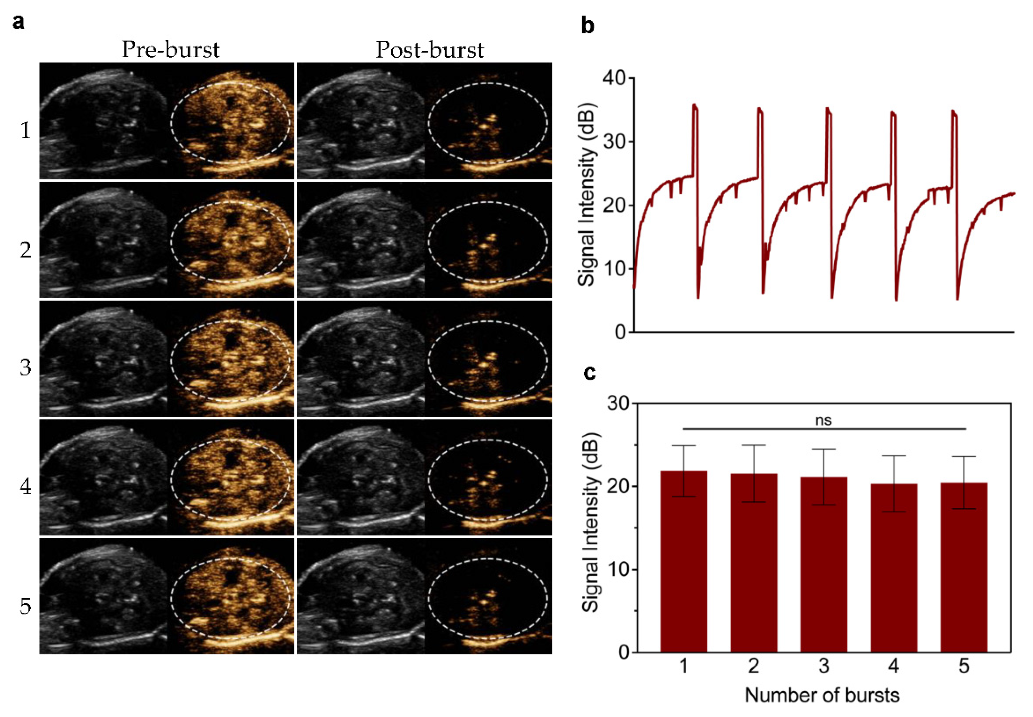 Pharmaceutics 14 01198 g004 550