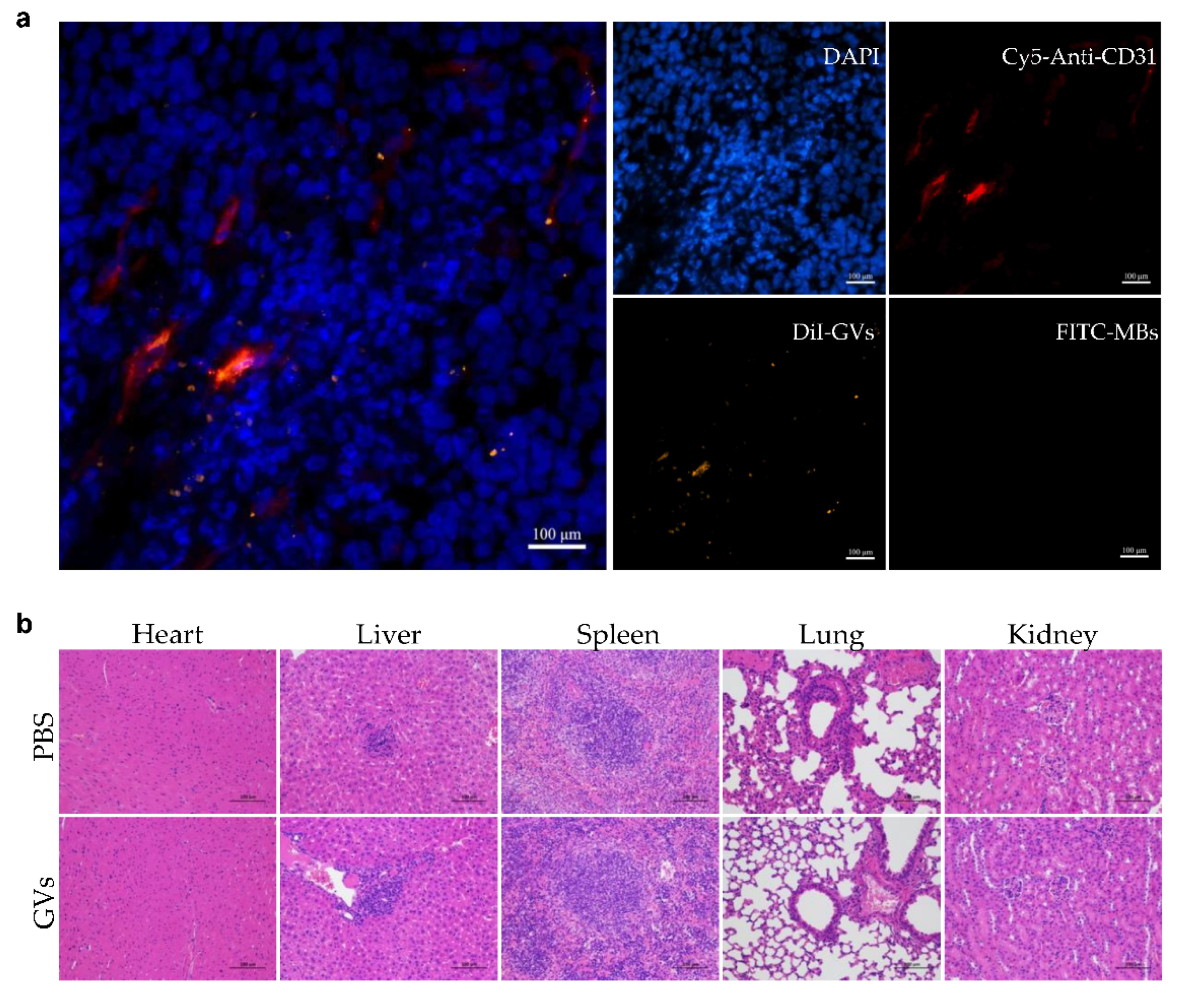 Pharmaceutics 14 01198 g006 550