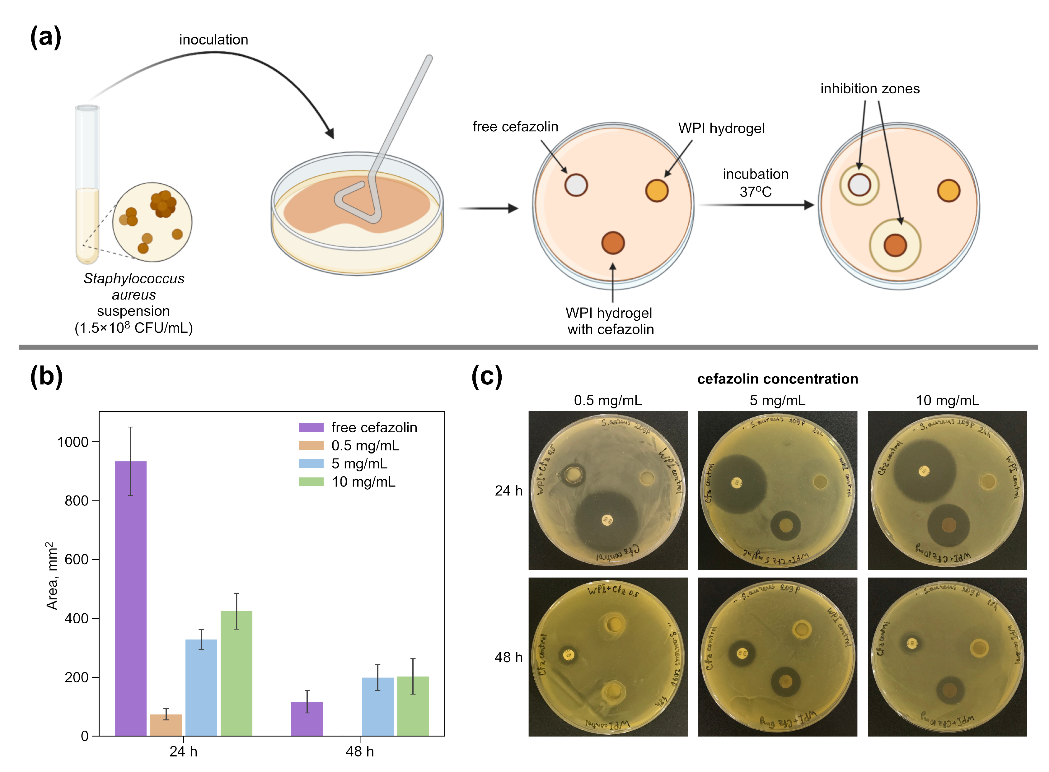 Pharmaceutics 14 01199 g002