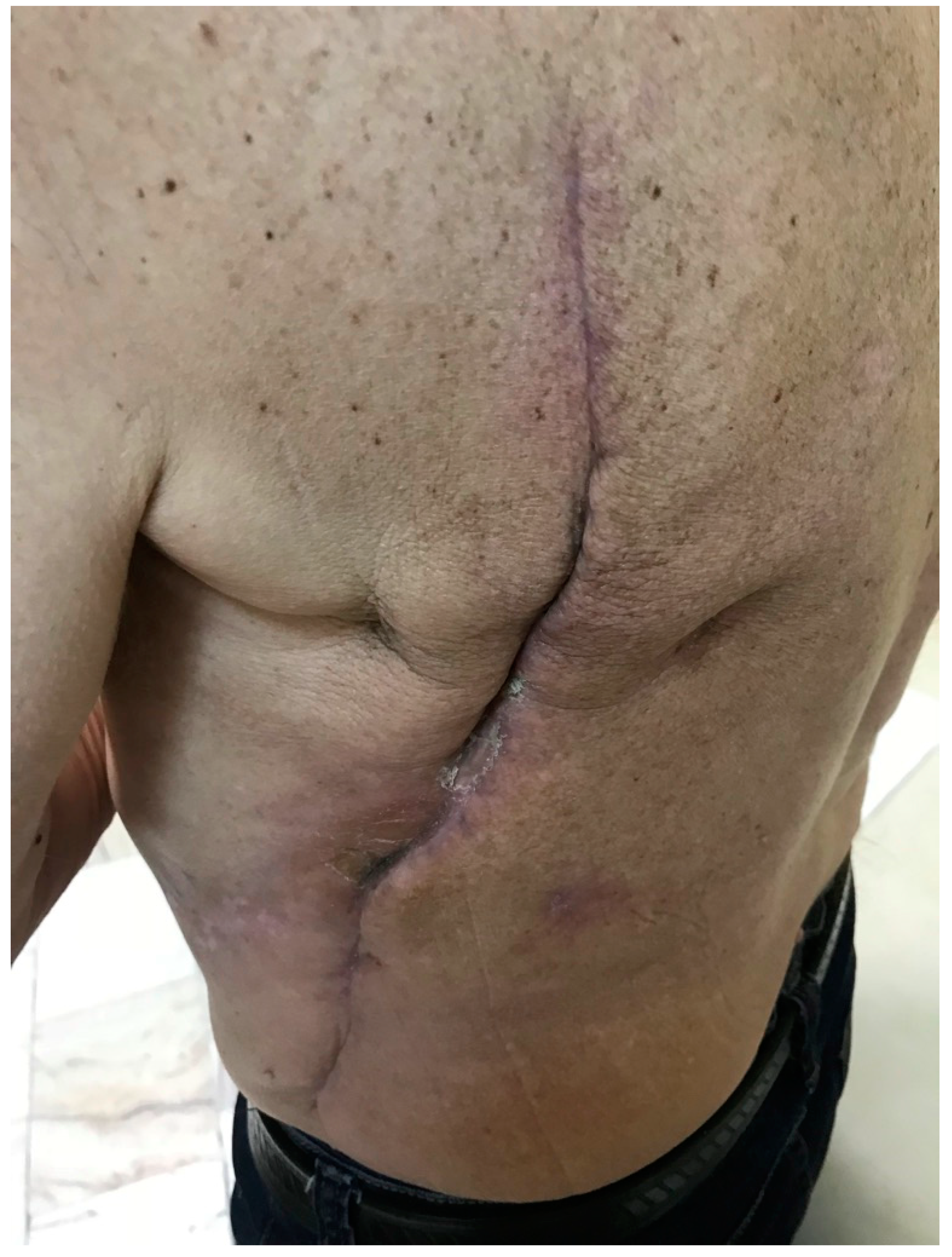 Pharmaceutics 14 01204 g002