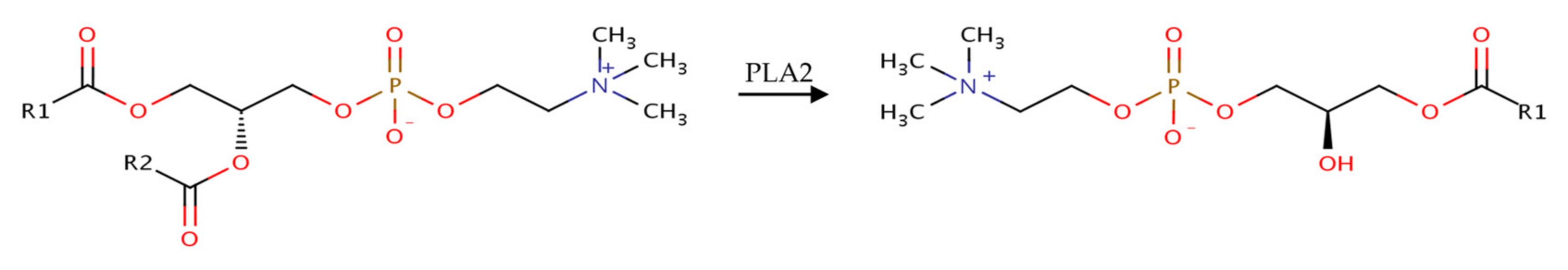 Pharmaceutics 14 01212 g001 550
