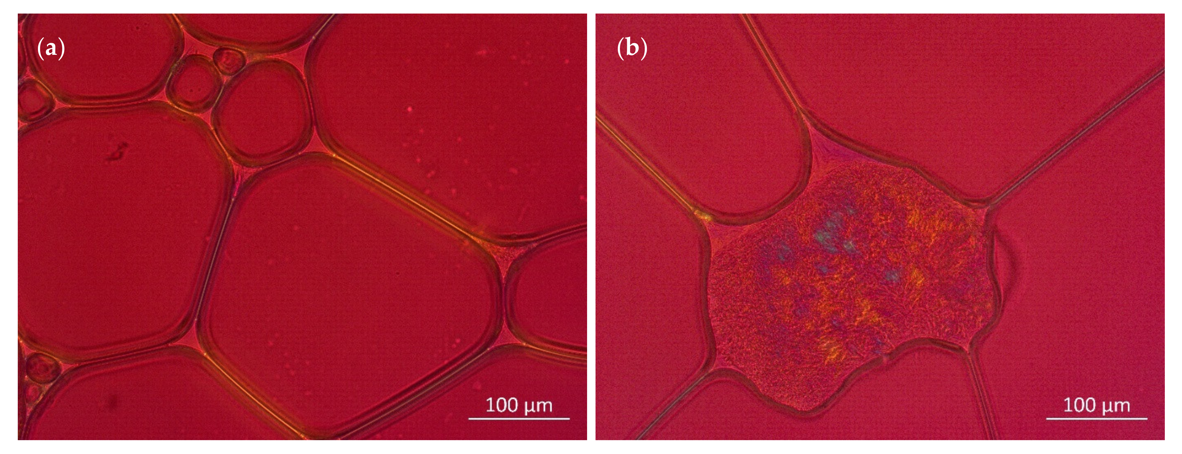Pharmaceutics 14 01212 g011 550