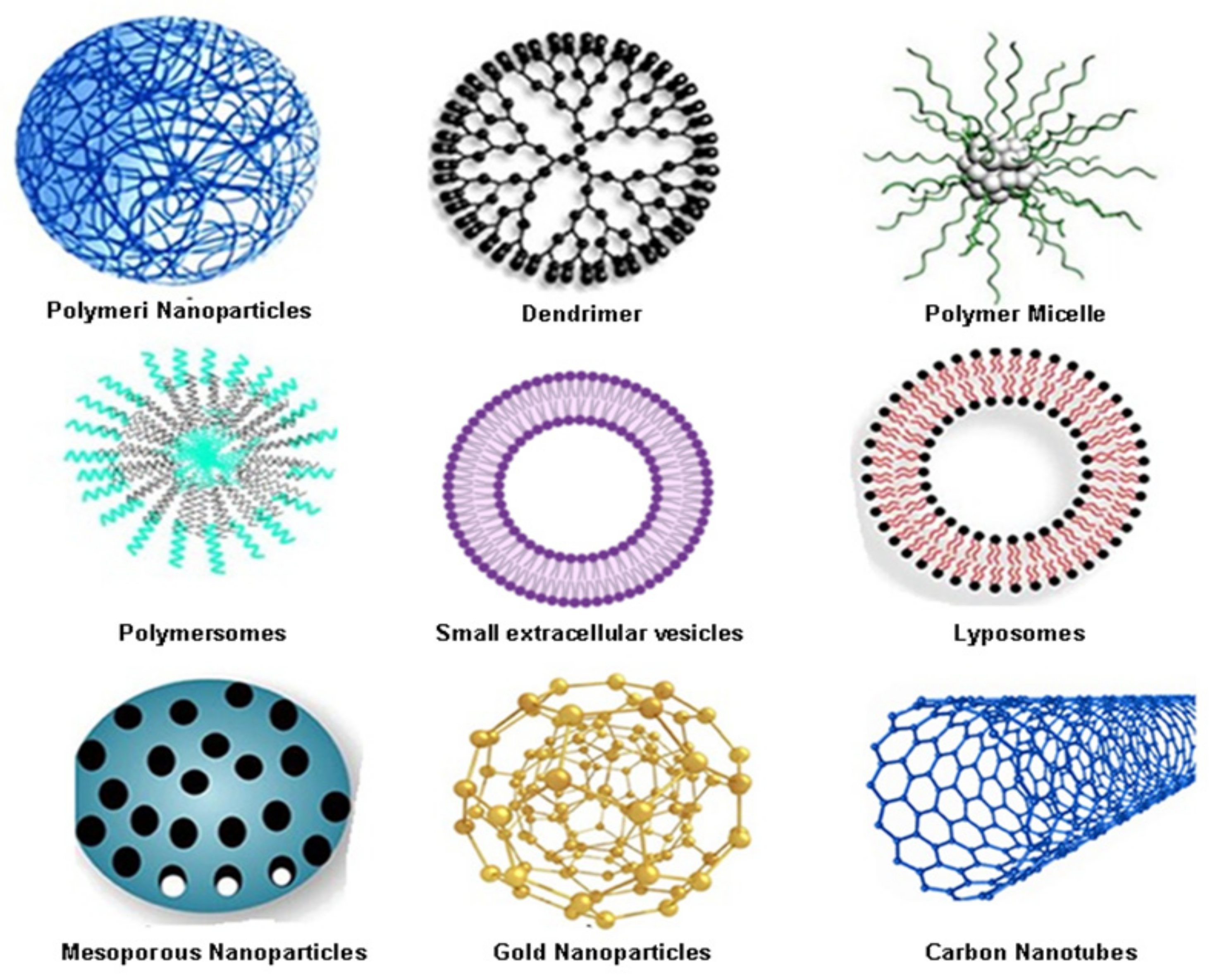 Pharmaceutics 14 01213 g003 550