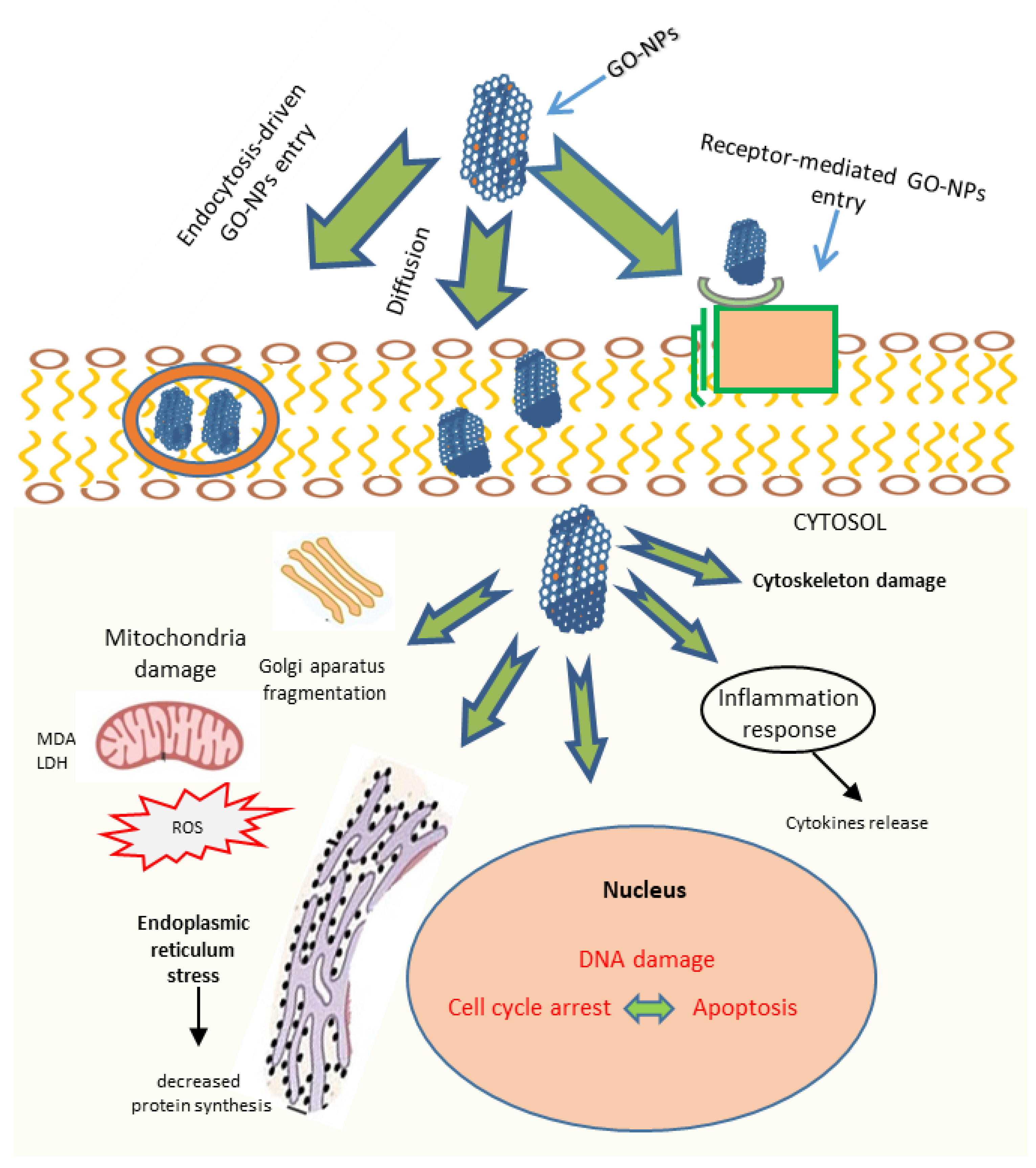 Pharmaceutics 14 01213 g004 550