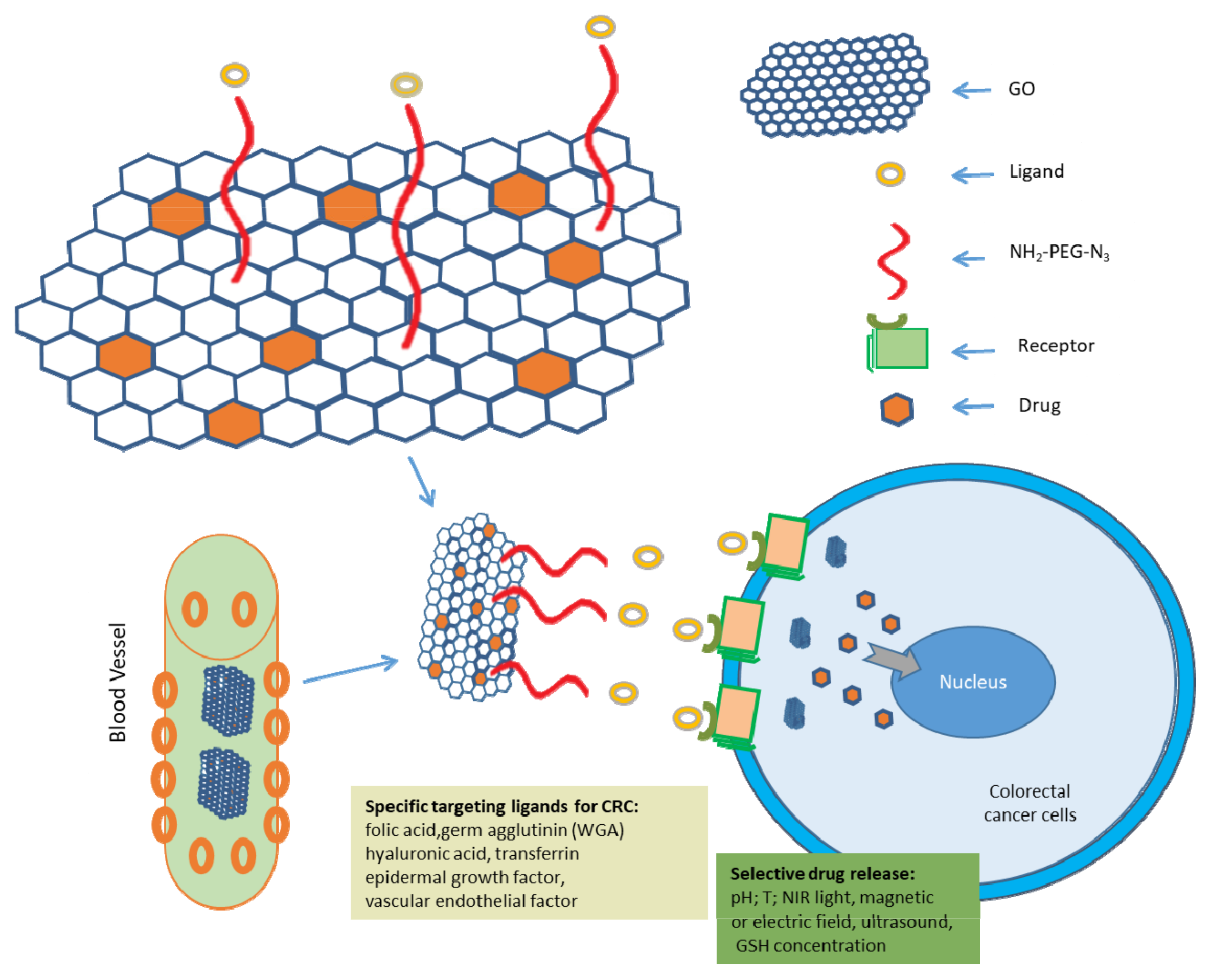 Pharmaceutics 14 01213 g005 Pharmaceutics 14 01213 g005