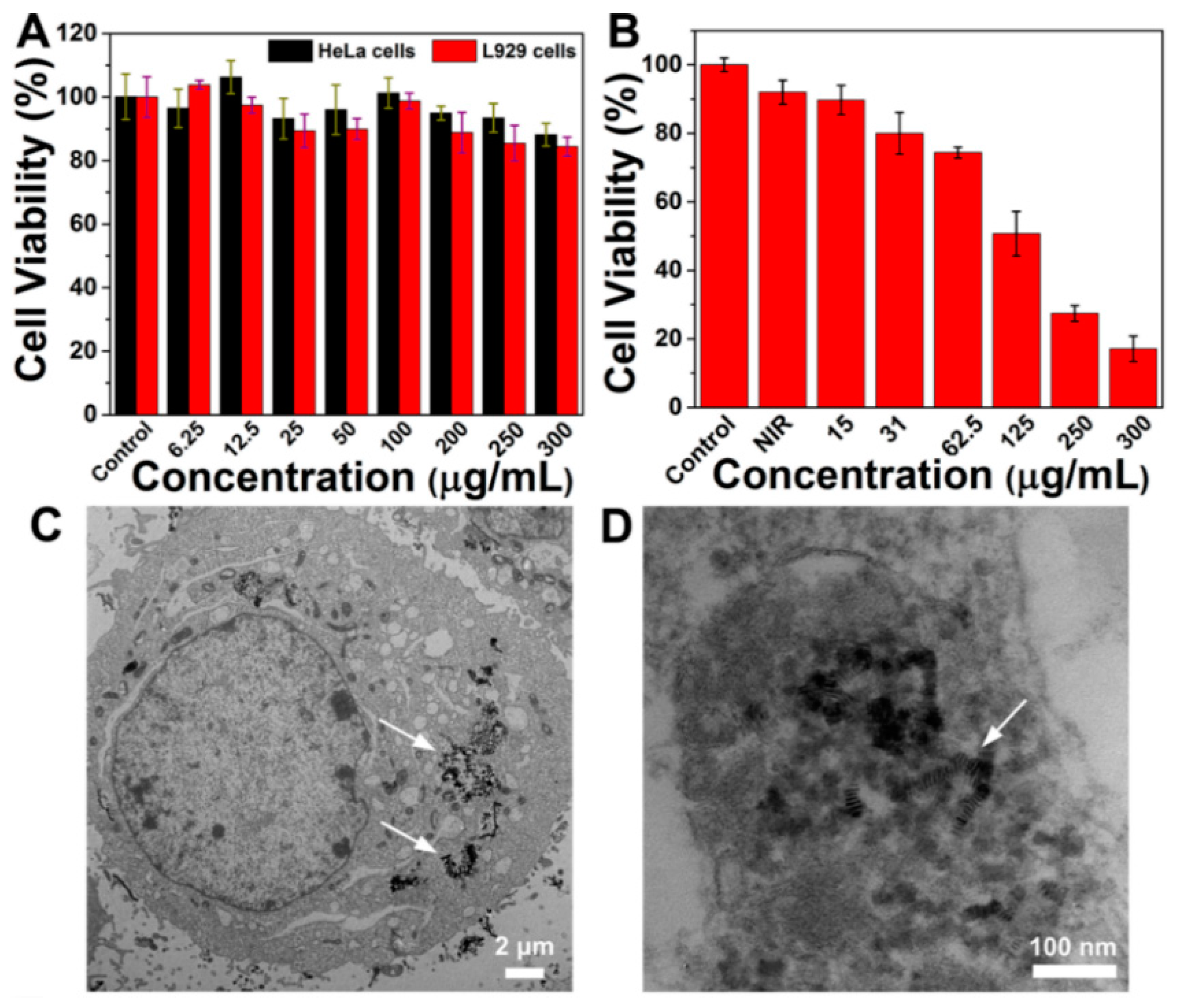 Pharmaceutics 14 01217 g003