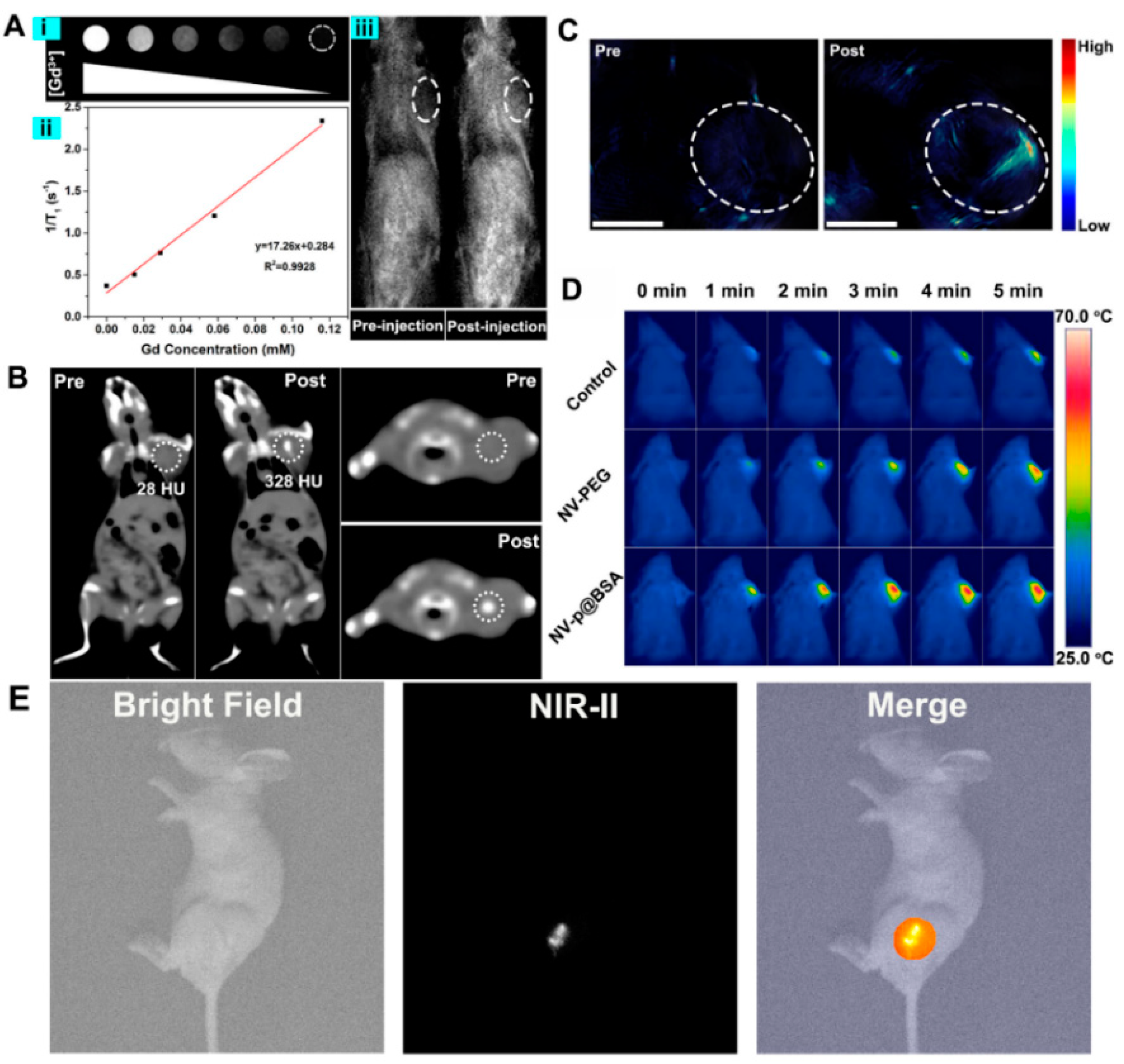 Pharmaceutics 14 01217 g004