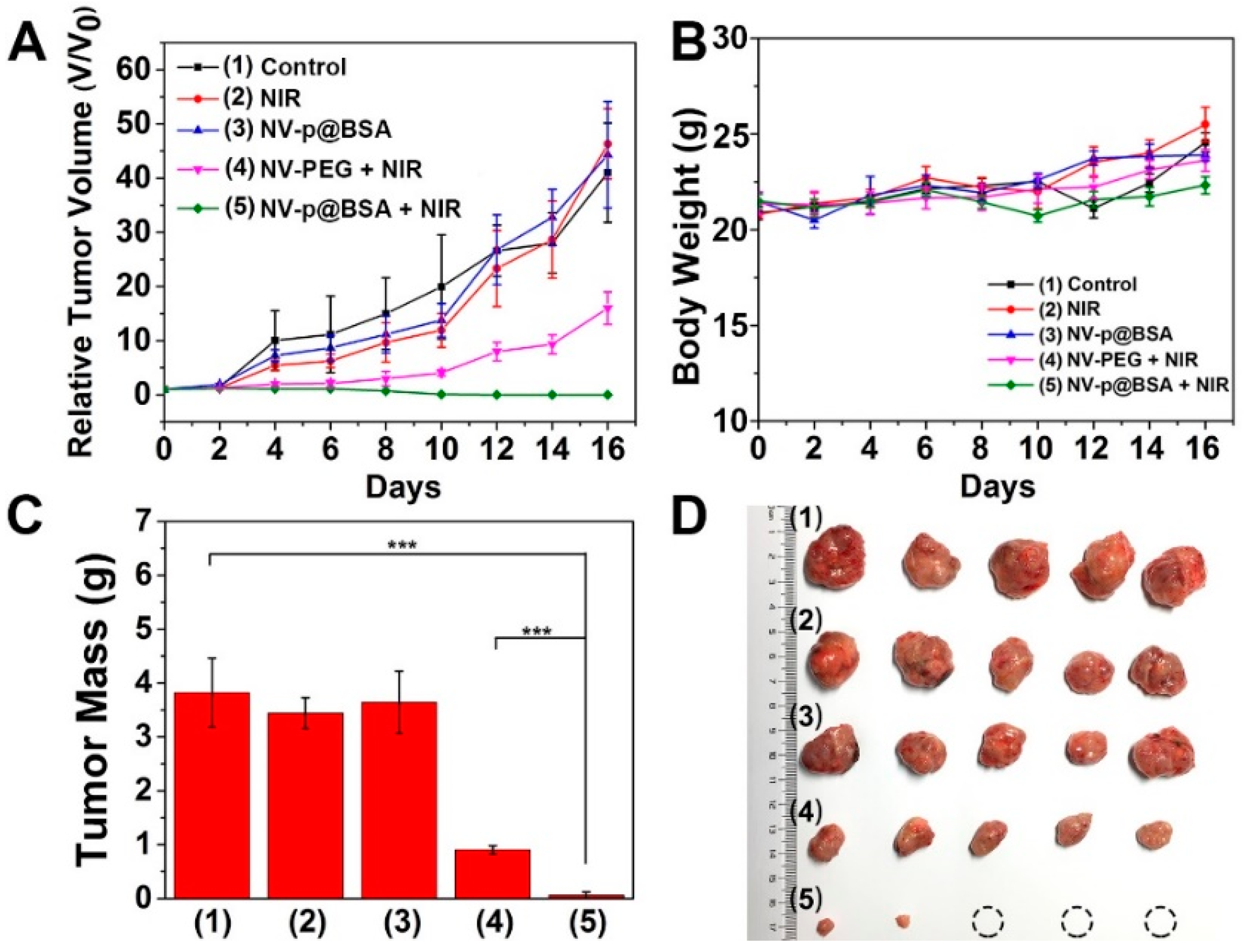 Pharmaceutics 14 01217 g005