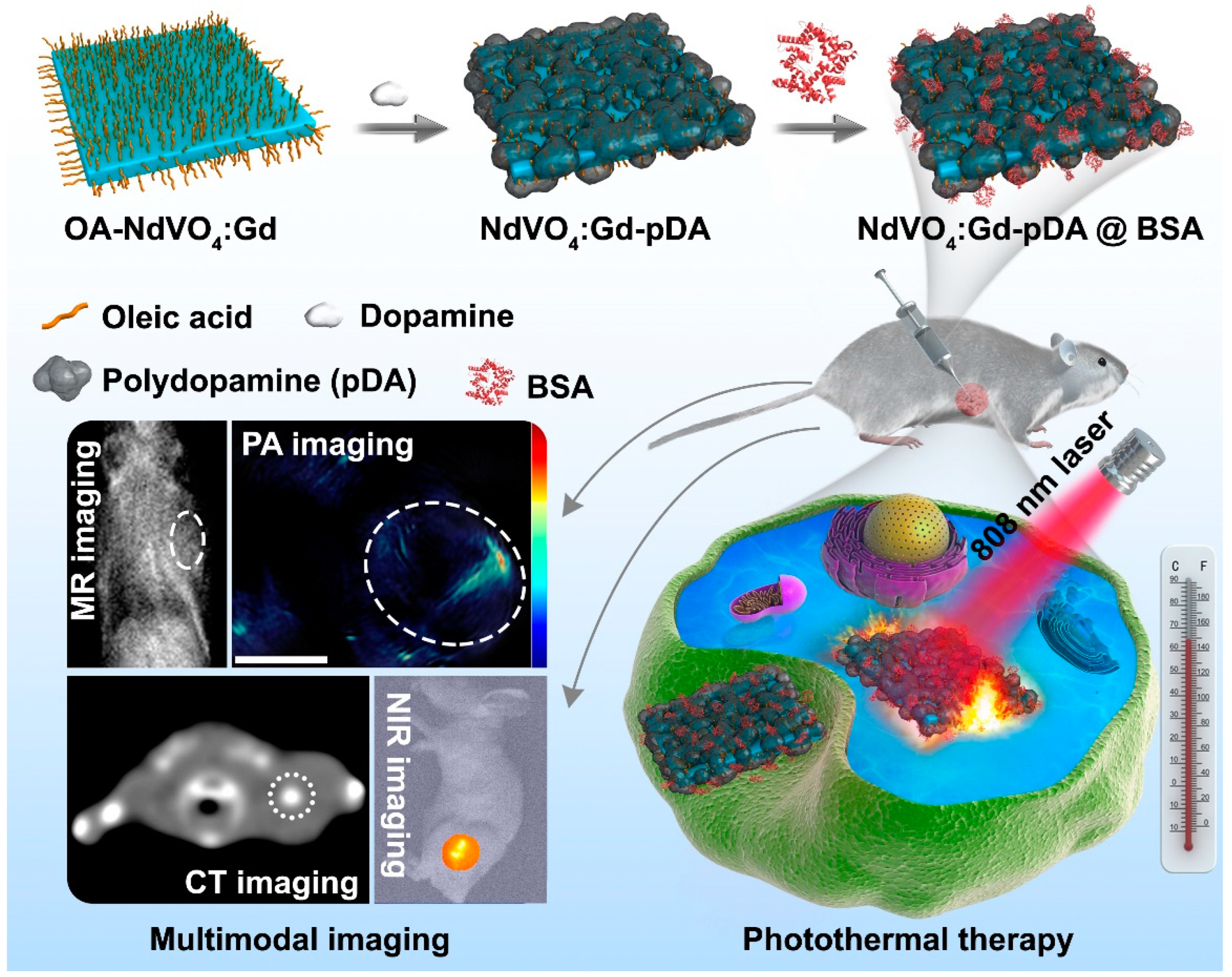 Pharmaceutics 14 01217 sch001