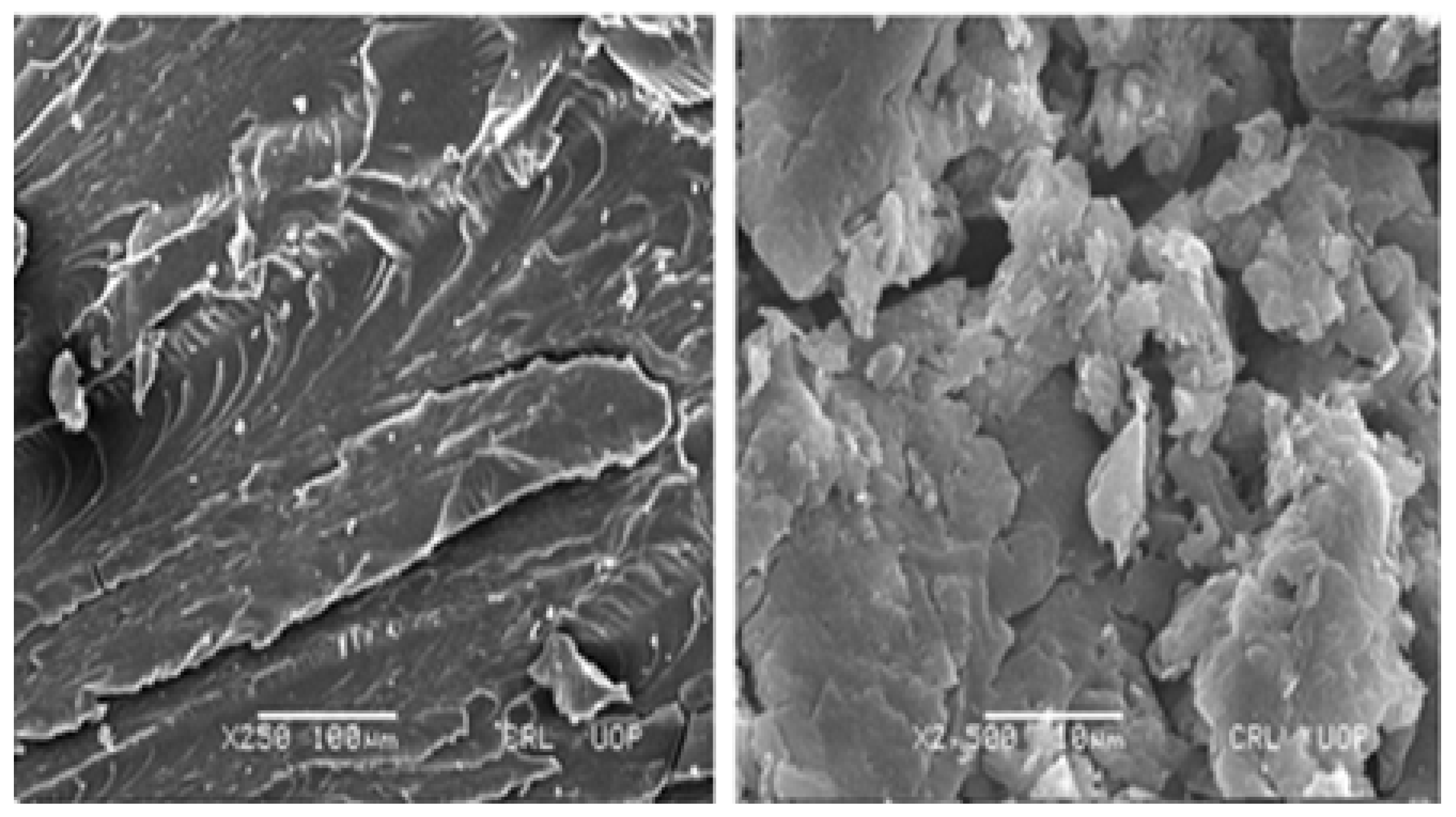 Pharmaceutics 14 01218 g009