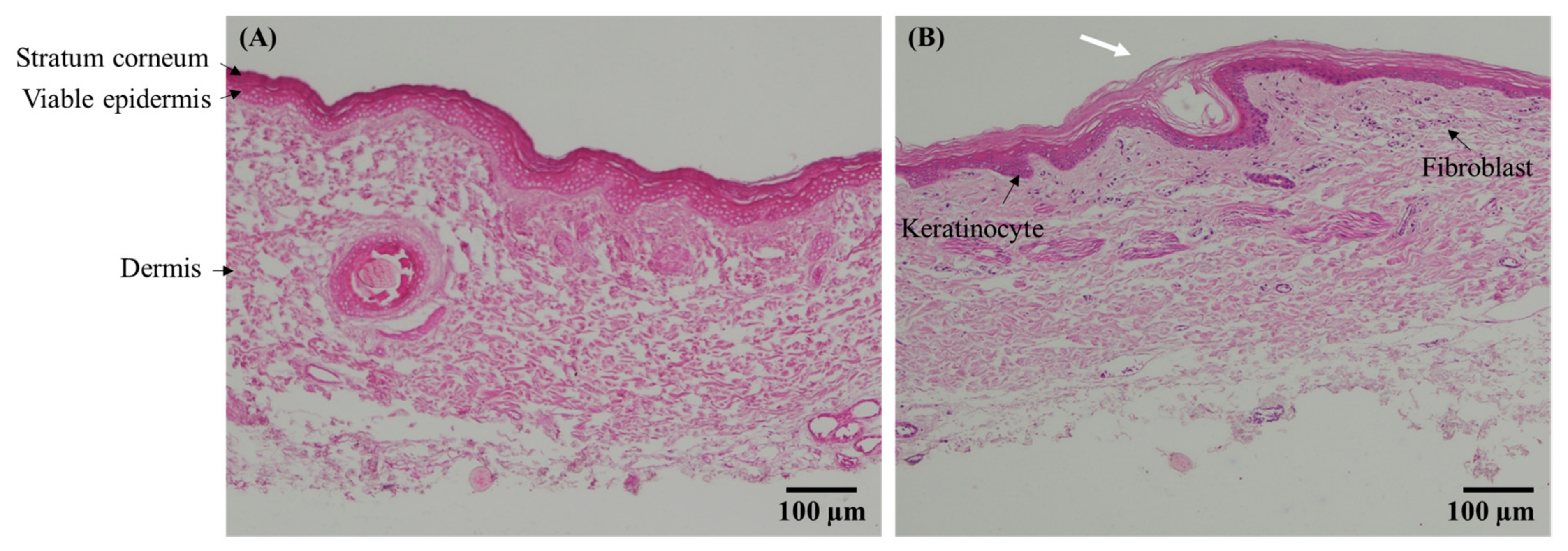 Pharmaceutics 14 01221 g009