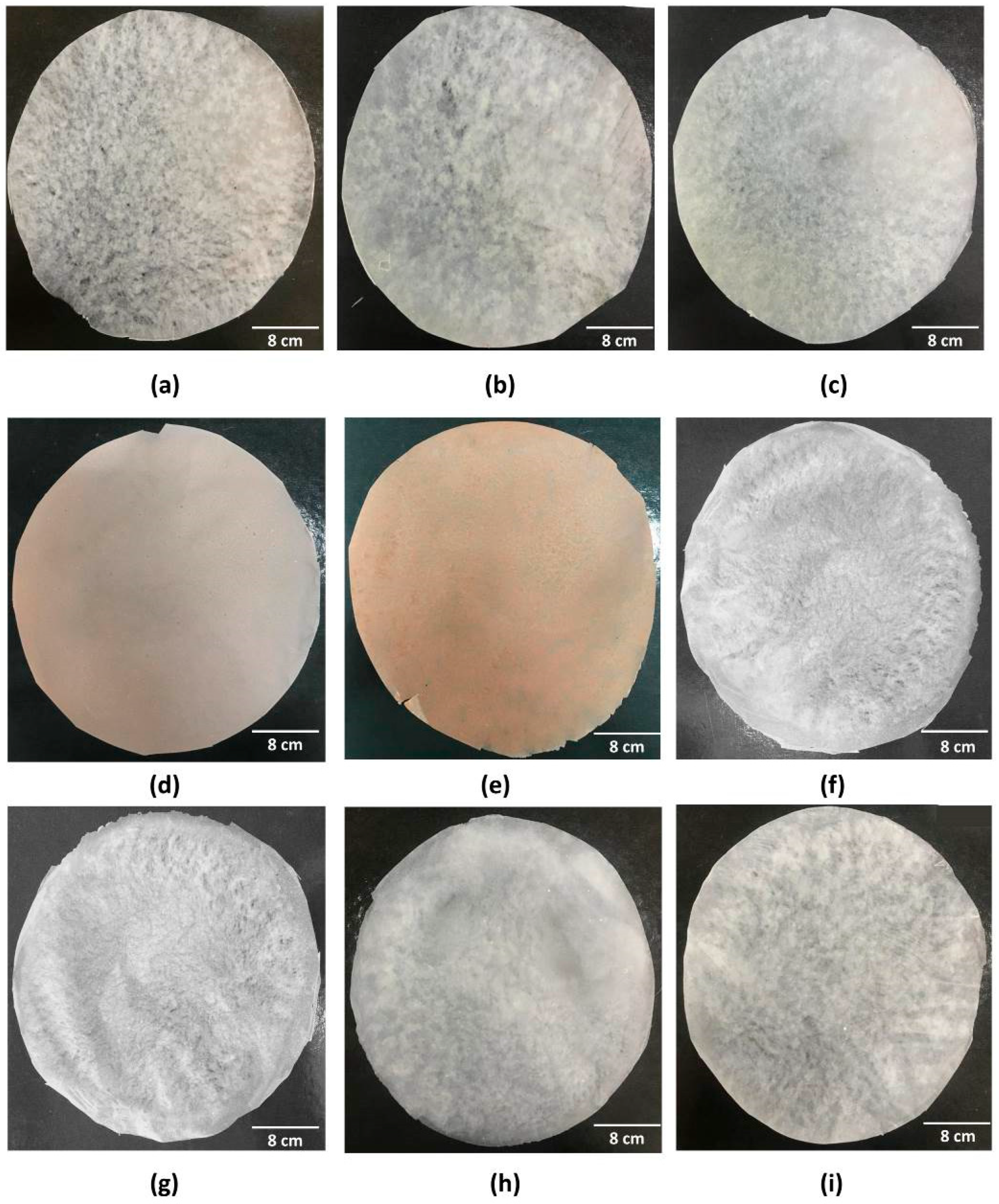 Pharmaceutics 14 01222 g002 Pharmaceutics 14 01222 g002
