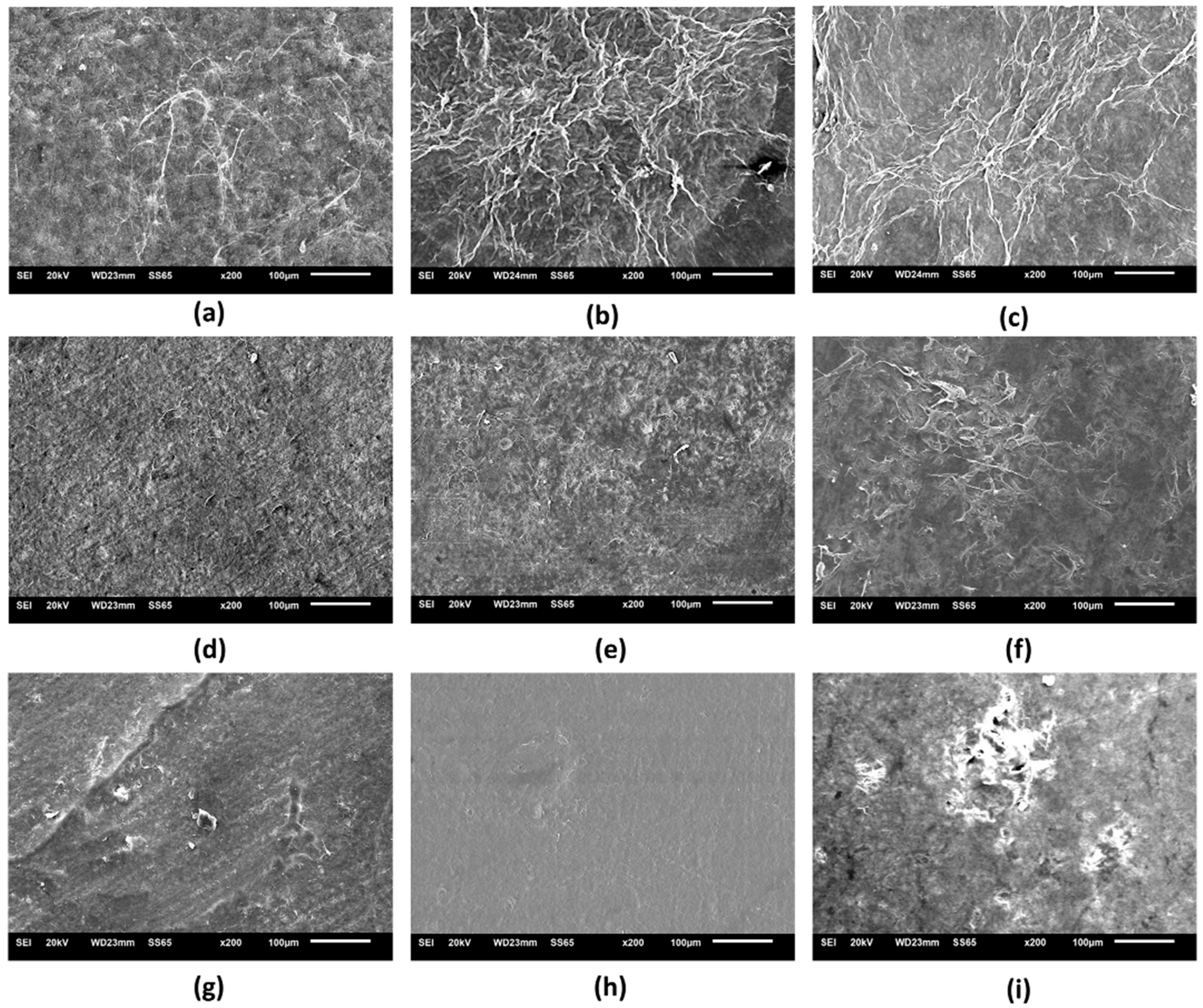 Pharmaceutics 14 01222 g003 Pharmaceutics 14 01222 g003