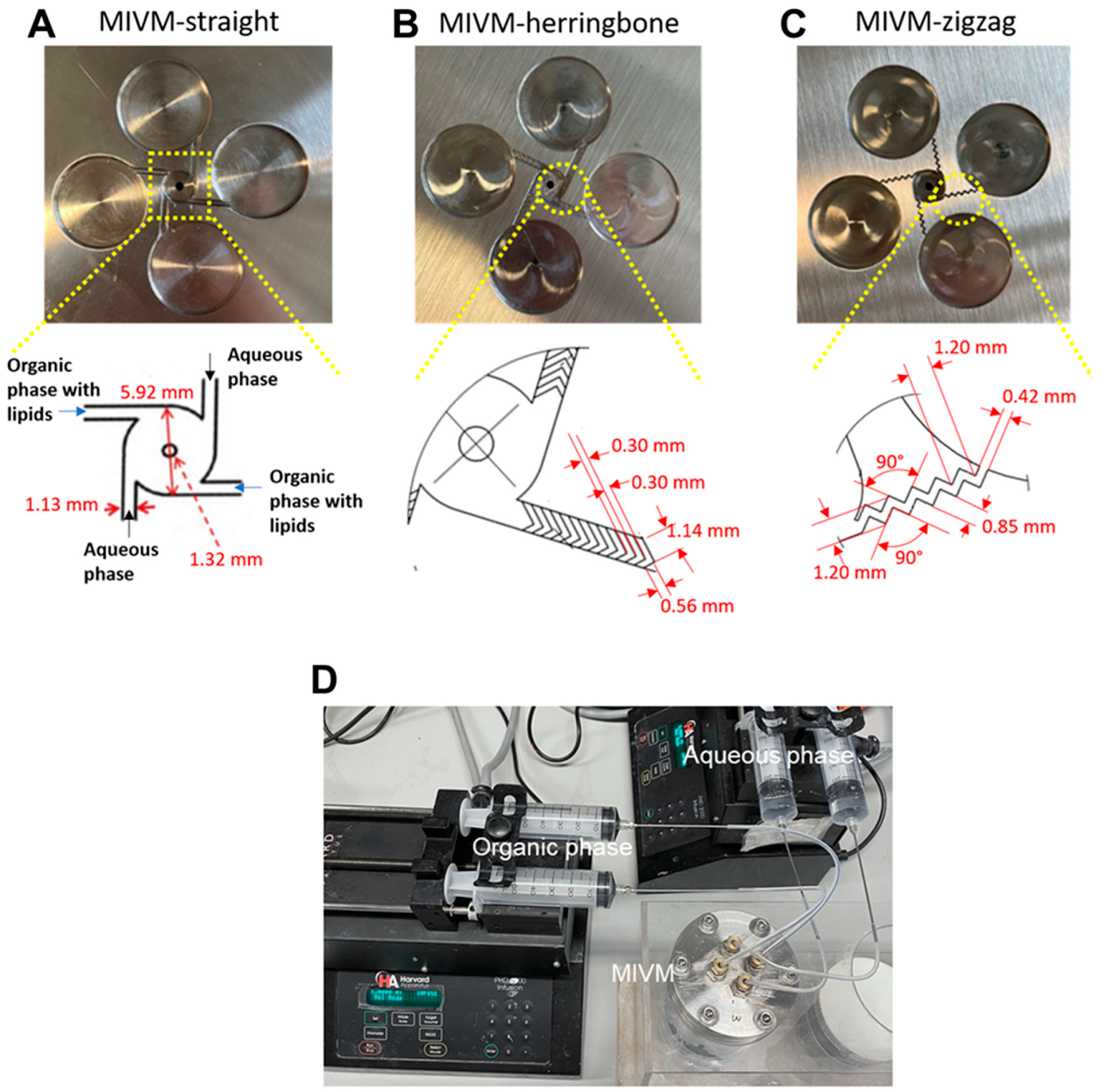 Pharmaceutics 14 01223 g001