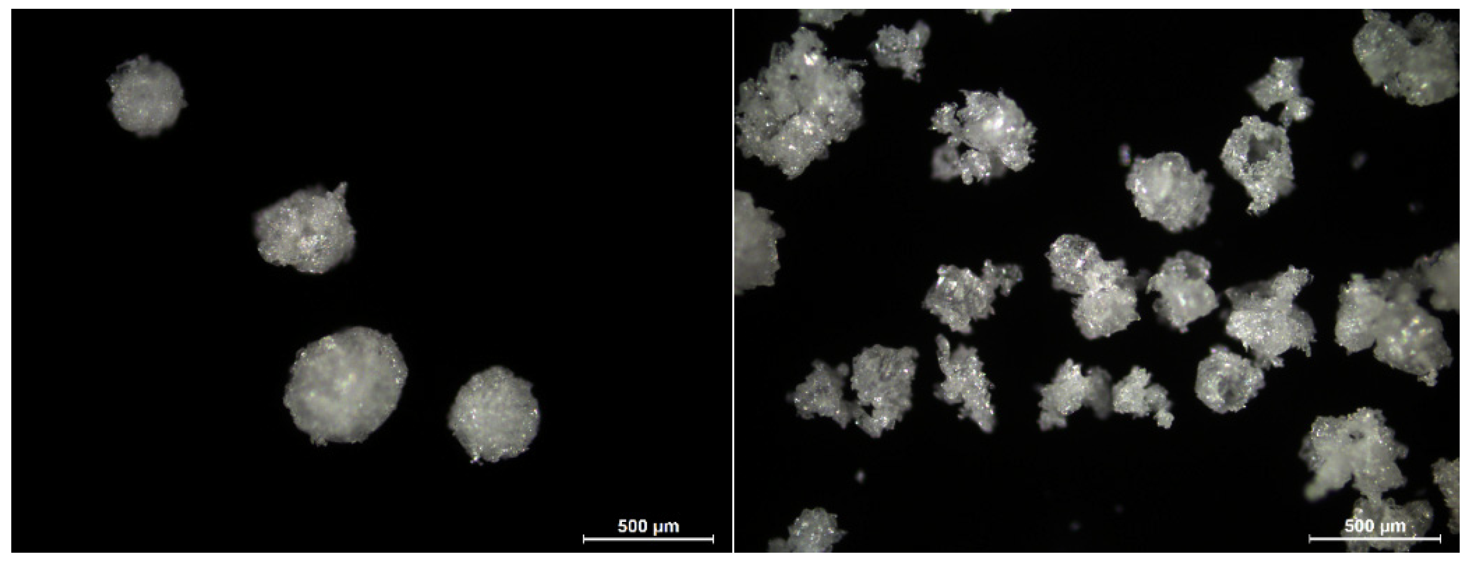 Pharmaceutics 14 01227 g012 550