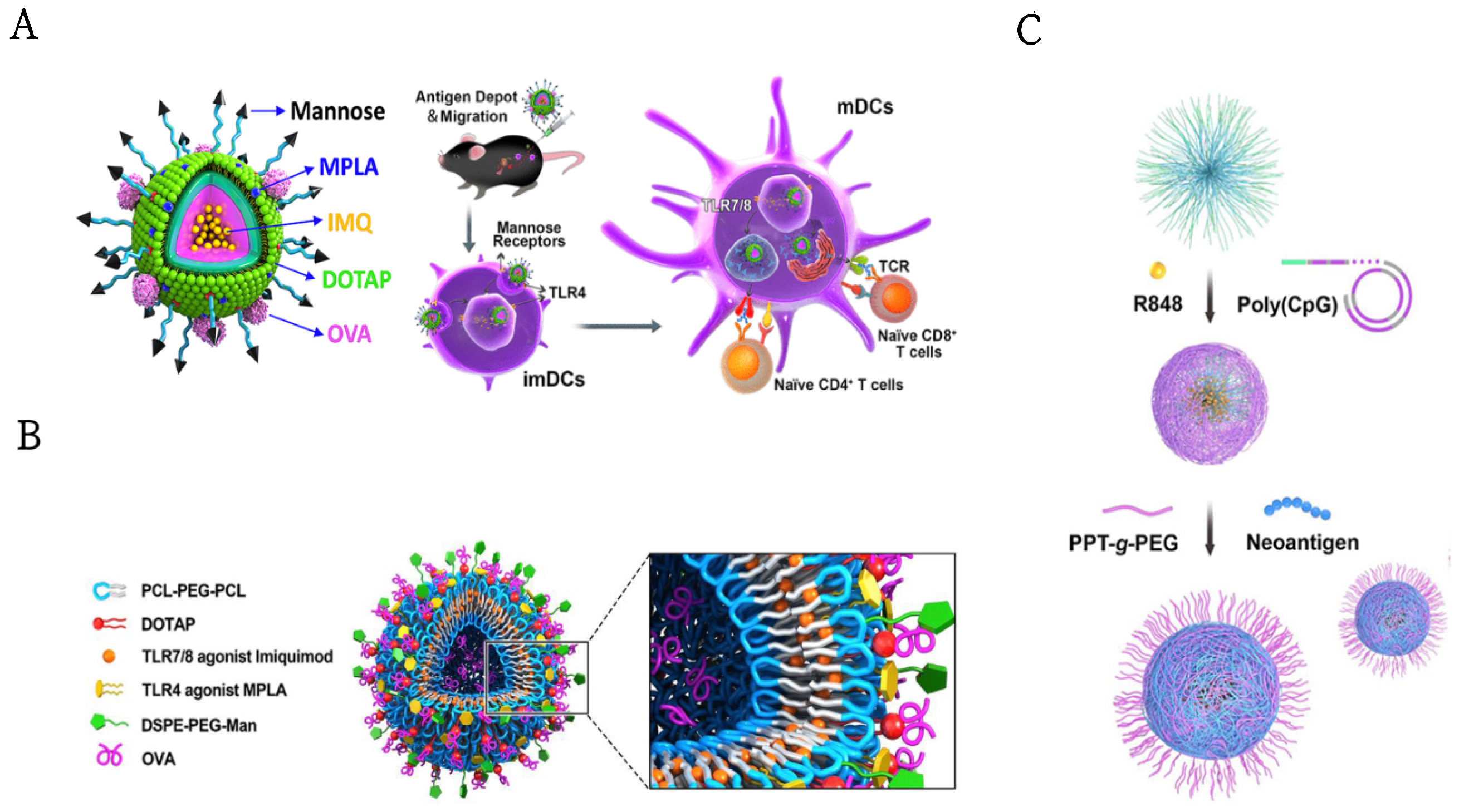 Pharmaceutics 14 01228 g005