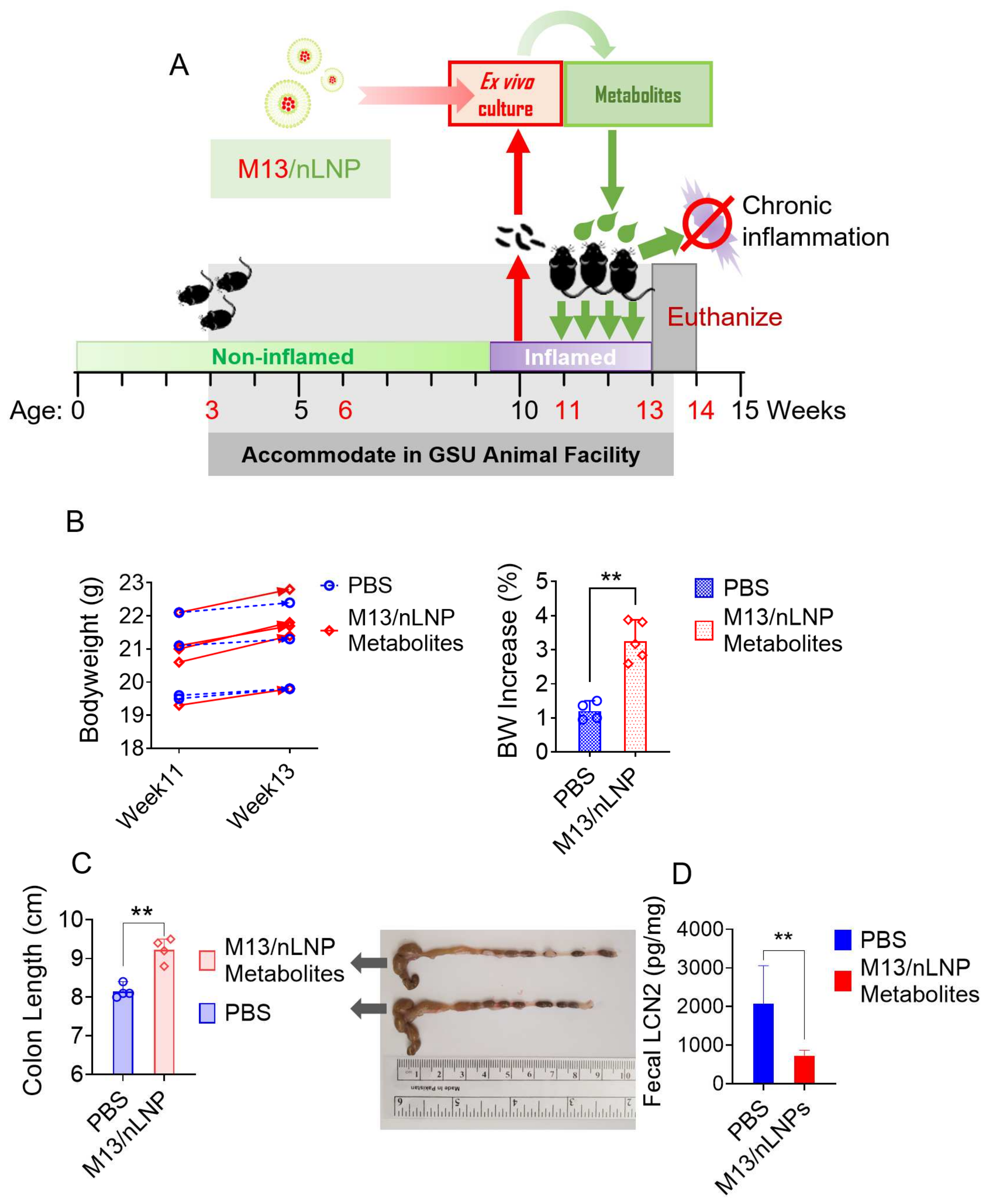 Pharmaceutics 14 01233 g005 550