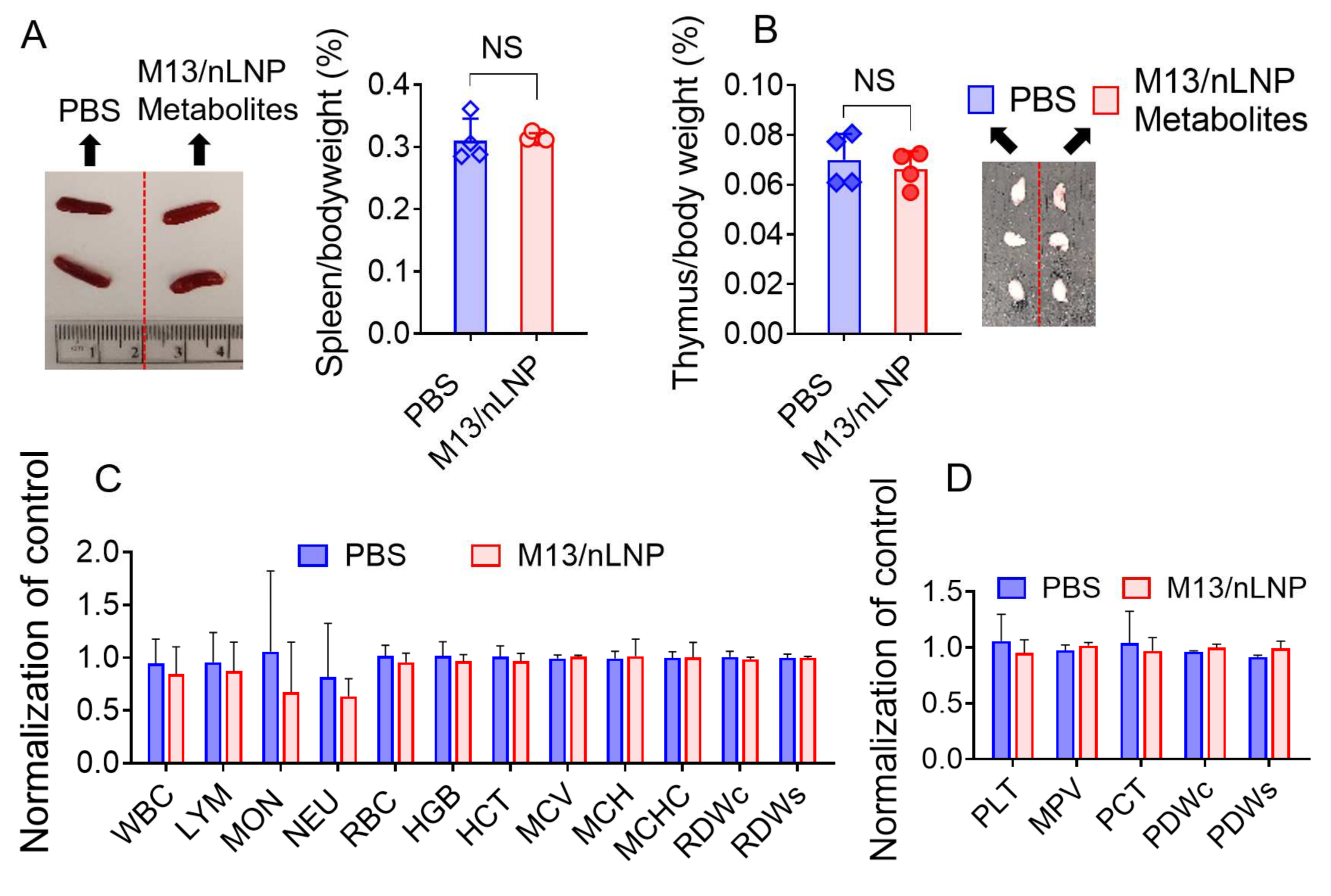 Pharmaceutics 14 01233 g007 550