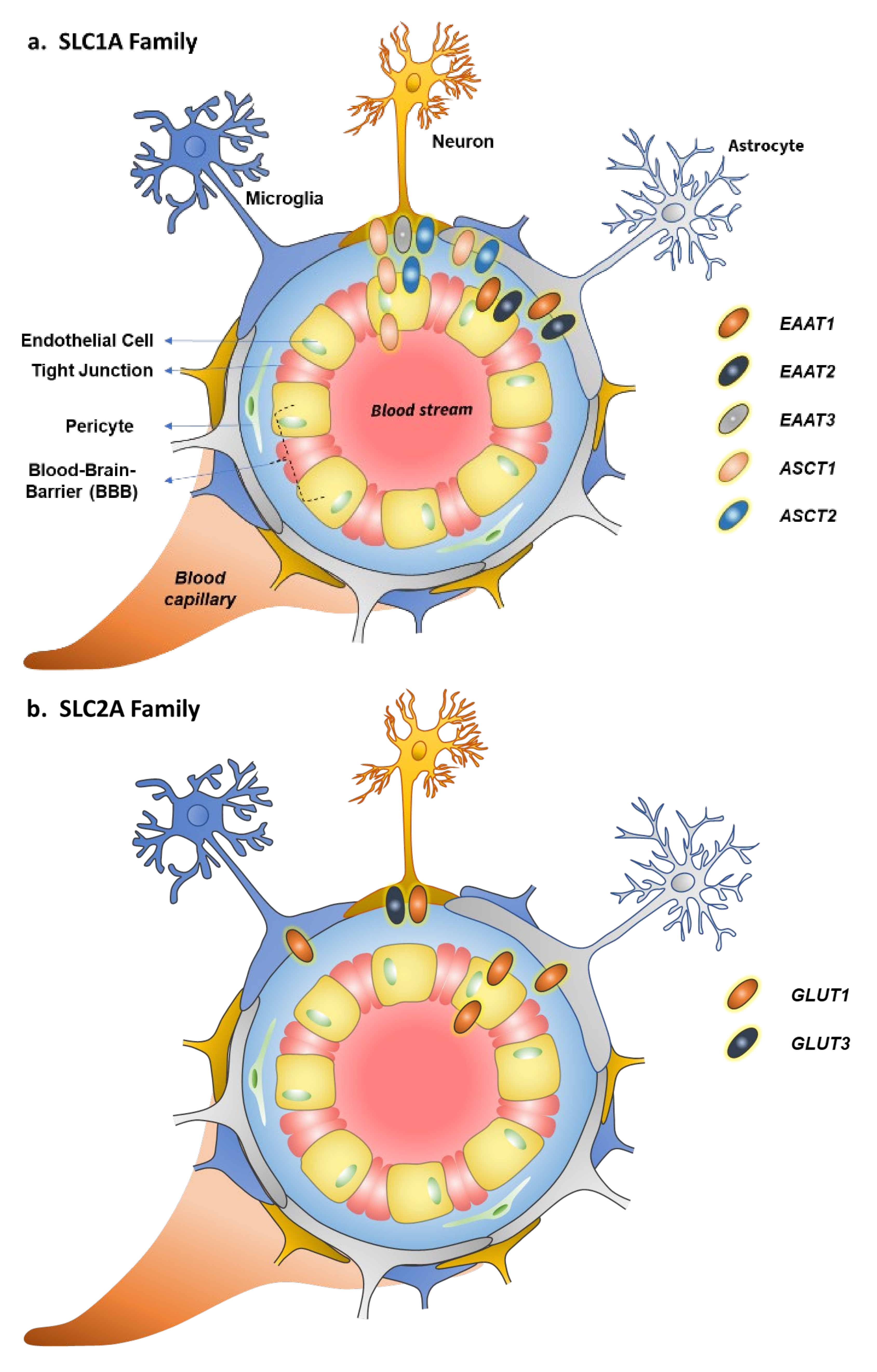 Pharmaceutics 14 01234 g001a Pharmaceutics 14 01234 g001a