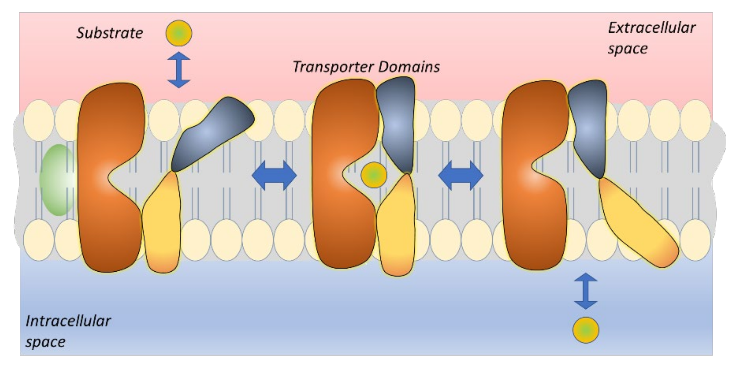 Pharmaceutics 14 01234 g006 Pharmaceutics 14 01234 g006