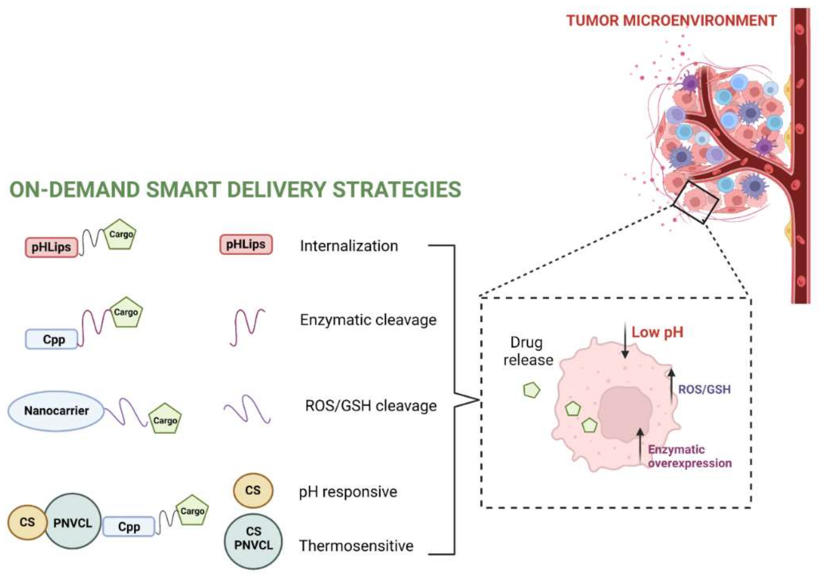 Pharmaceutics 14 01235 g003