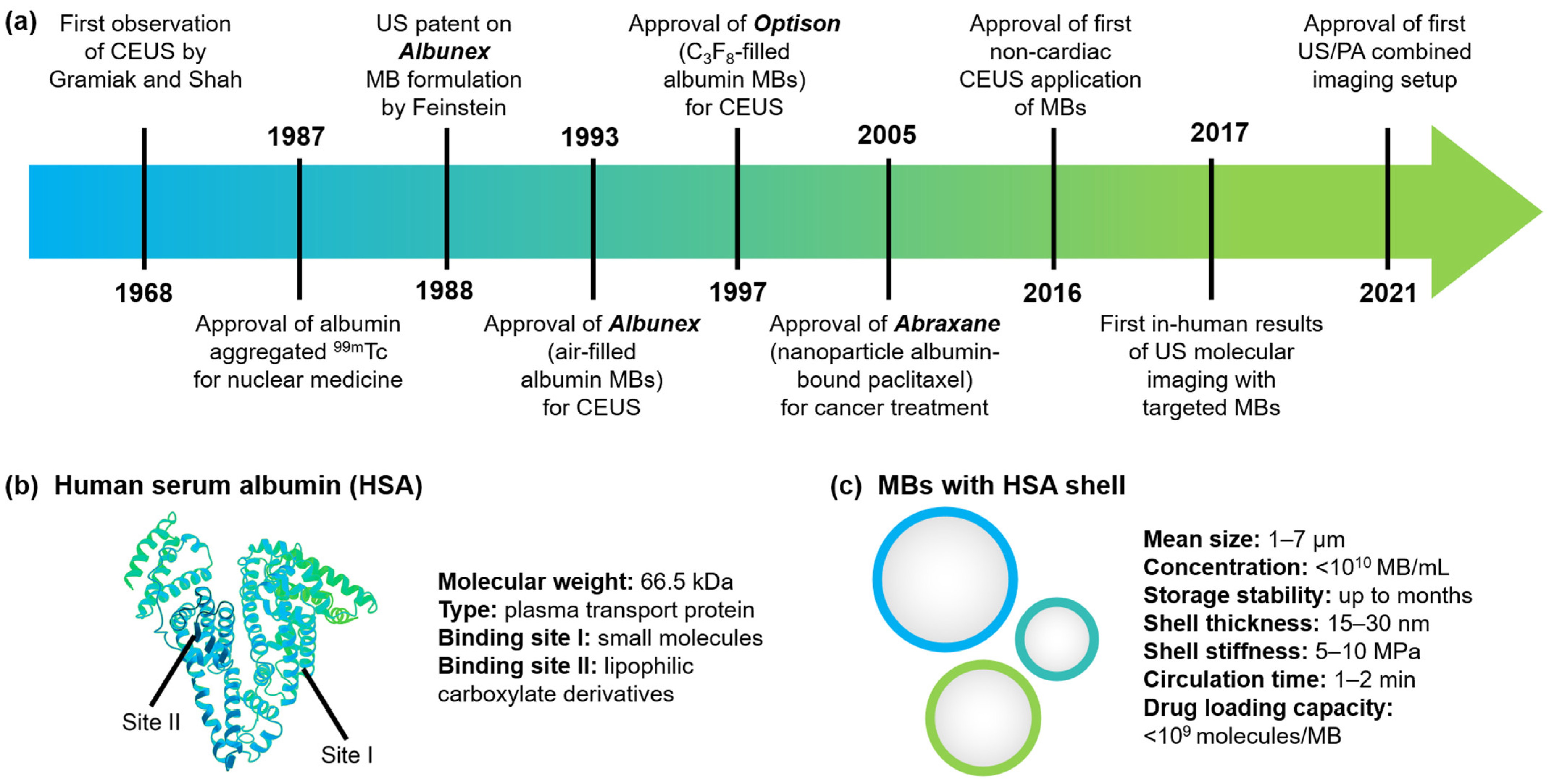 Pharmaceutics 14 01236 g001 Pharmaceutics 14 01236 g001