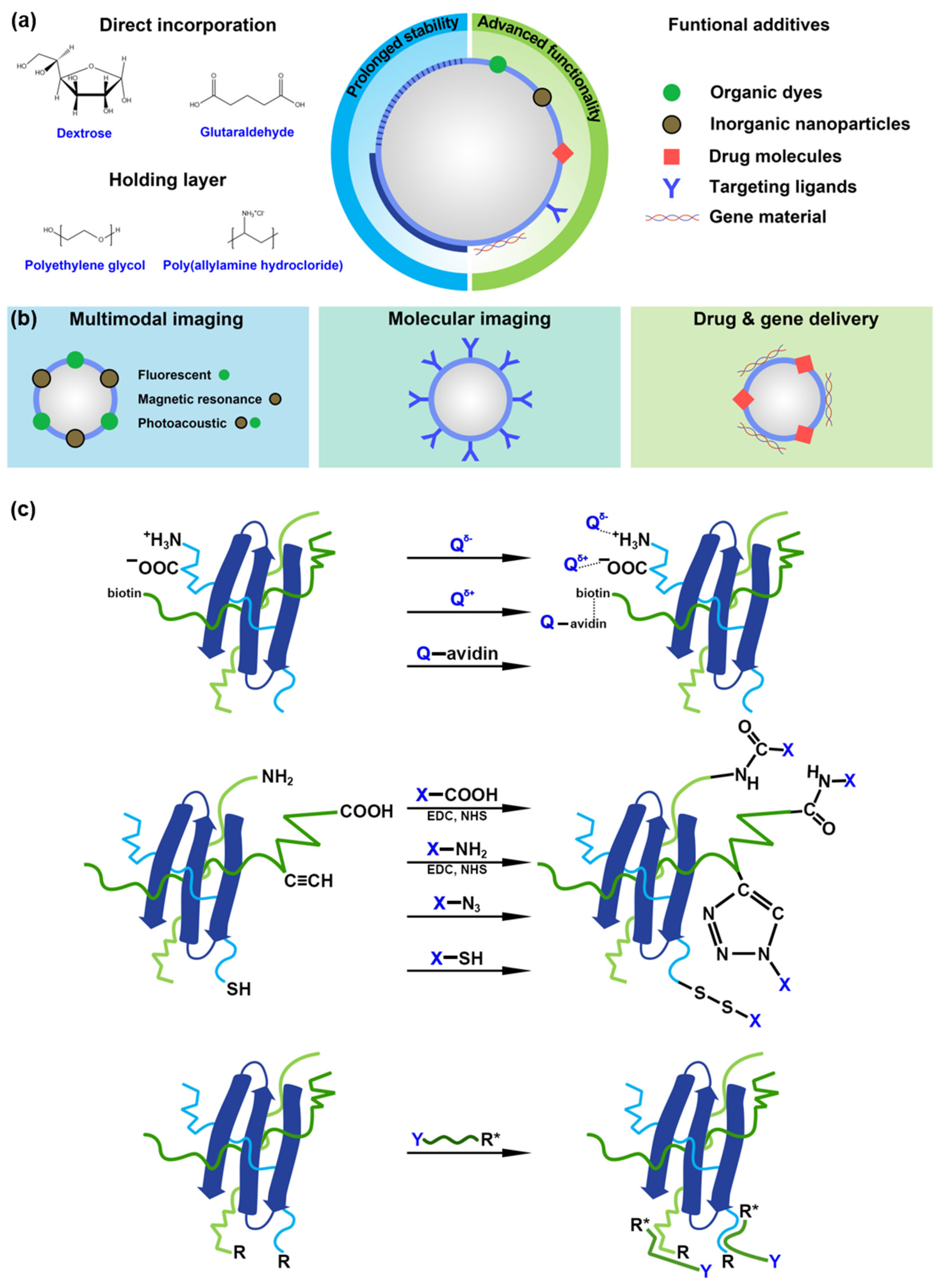 Pharmaceutics 14 01236 g004 Pharmaceutics 14 01236 g004