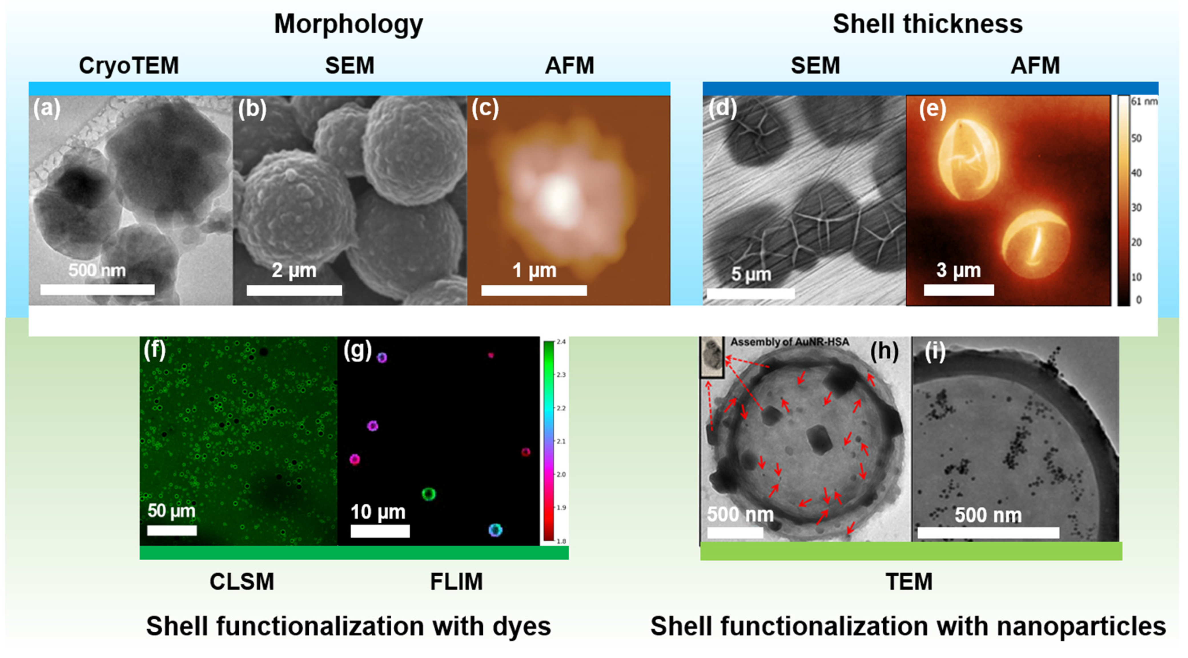 Pharmaceutics 14 01236 g005 Pharmaceutics 14 01236 g005