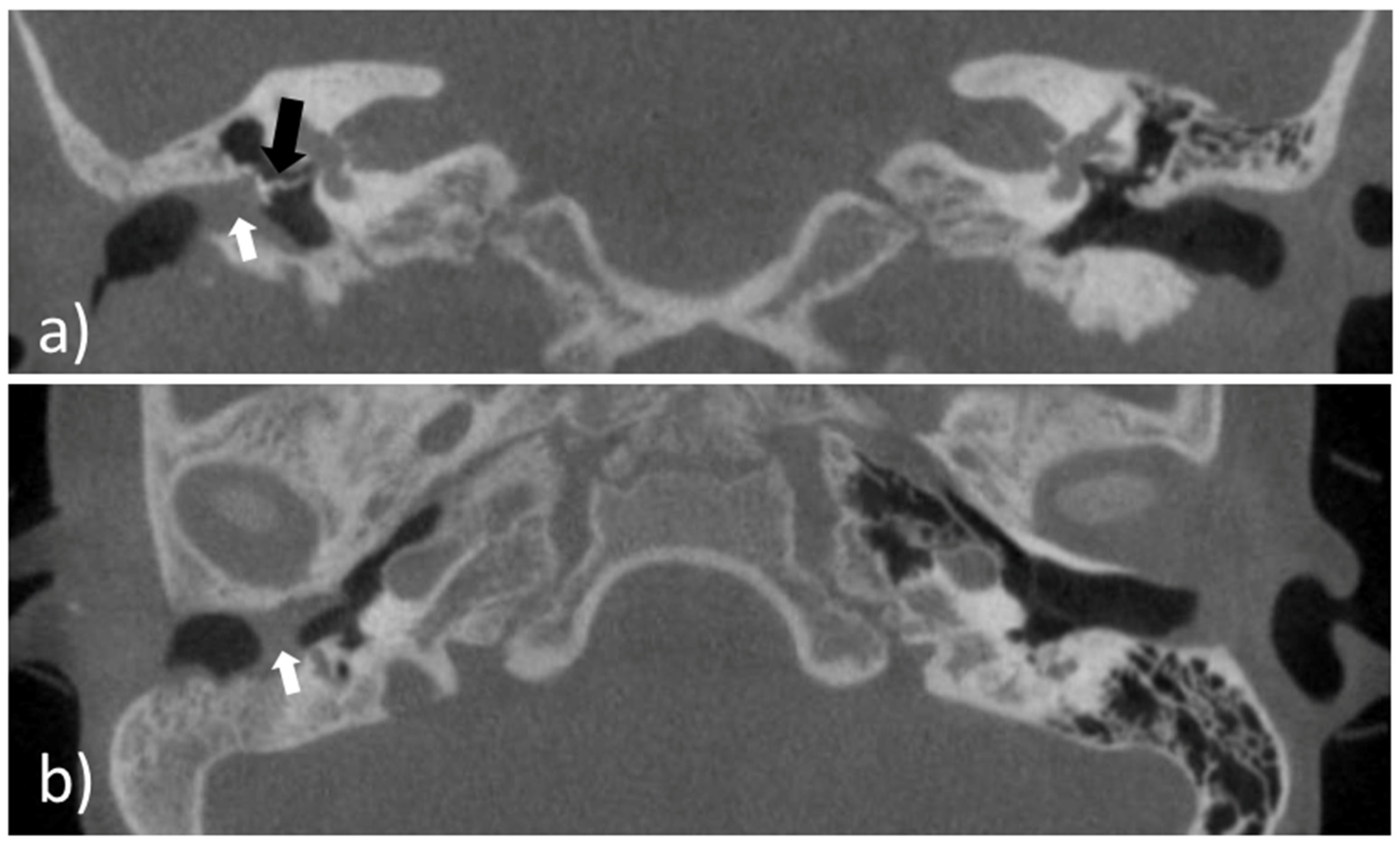 Pharmaceutics 14 01242 g001 550