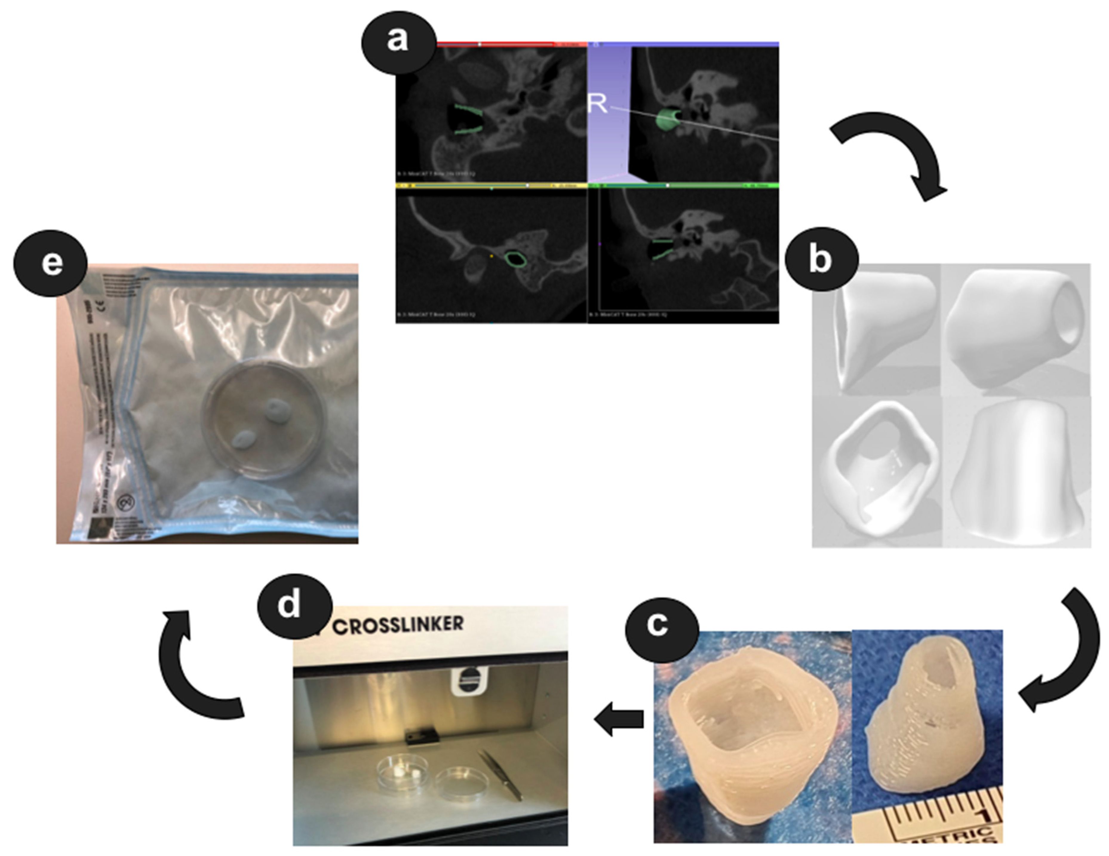 Pharmaceutics 14 01242 g002 550