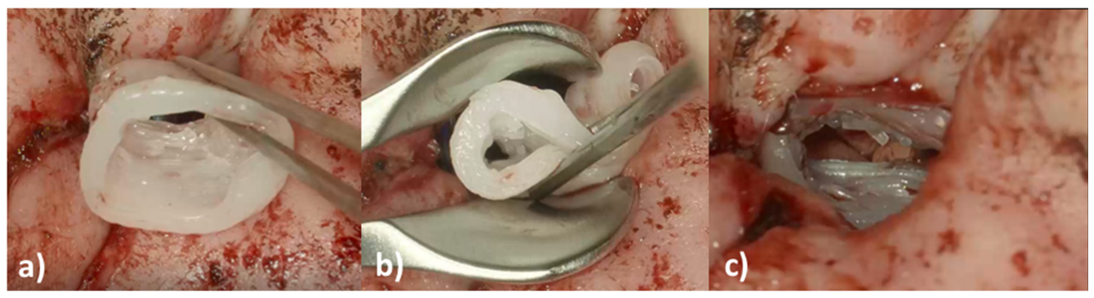 Pharmaceutics 14 01242 g008 550