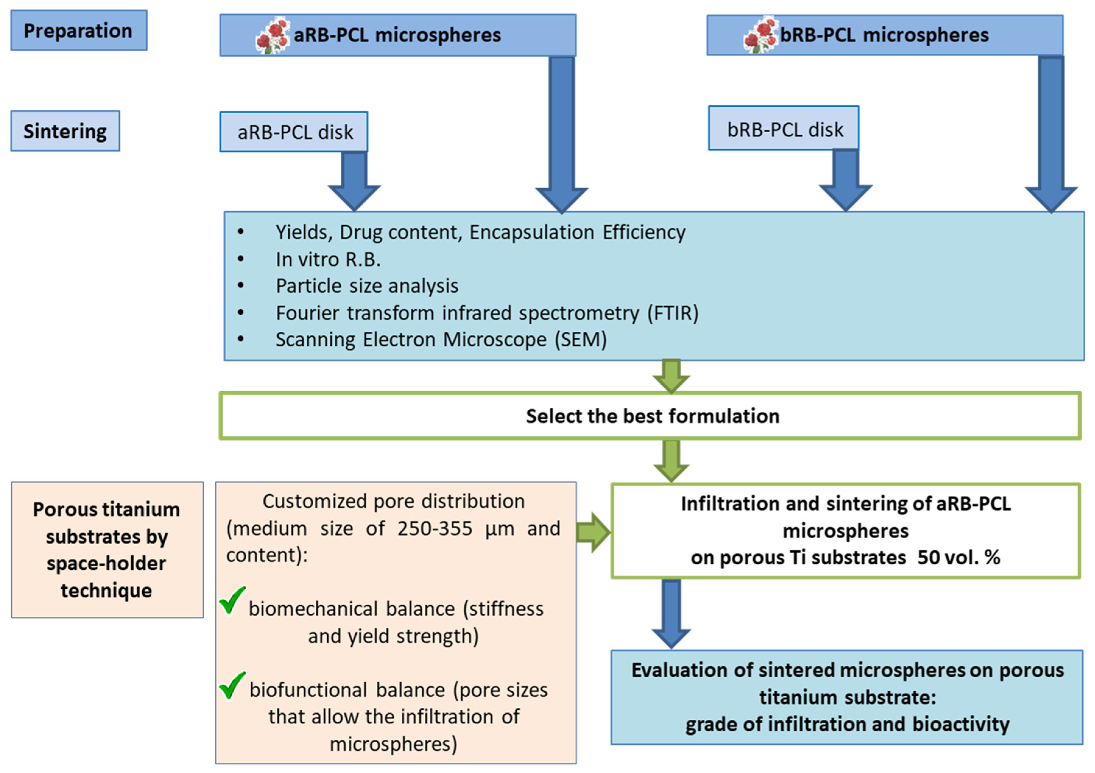 Pharmaceutics 14 01244 g001