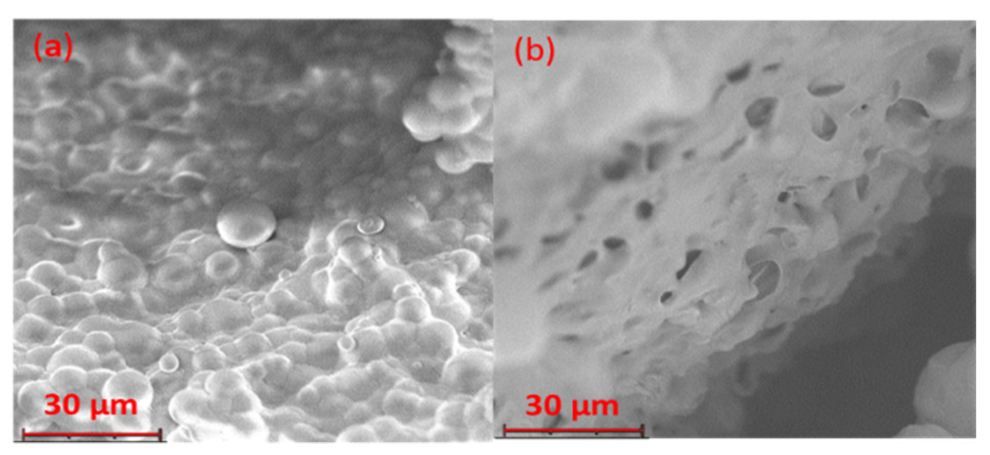 Pharmaceutics 14 01244 g007