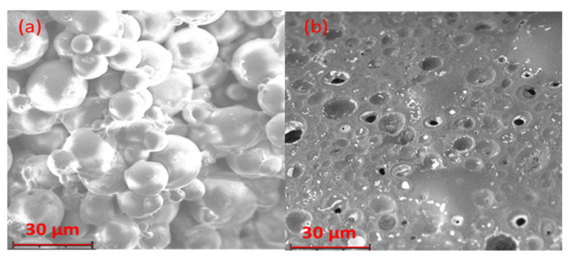 Pharmaceutics 14 01244 g010