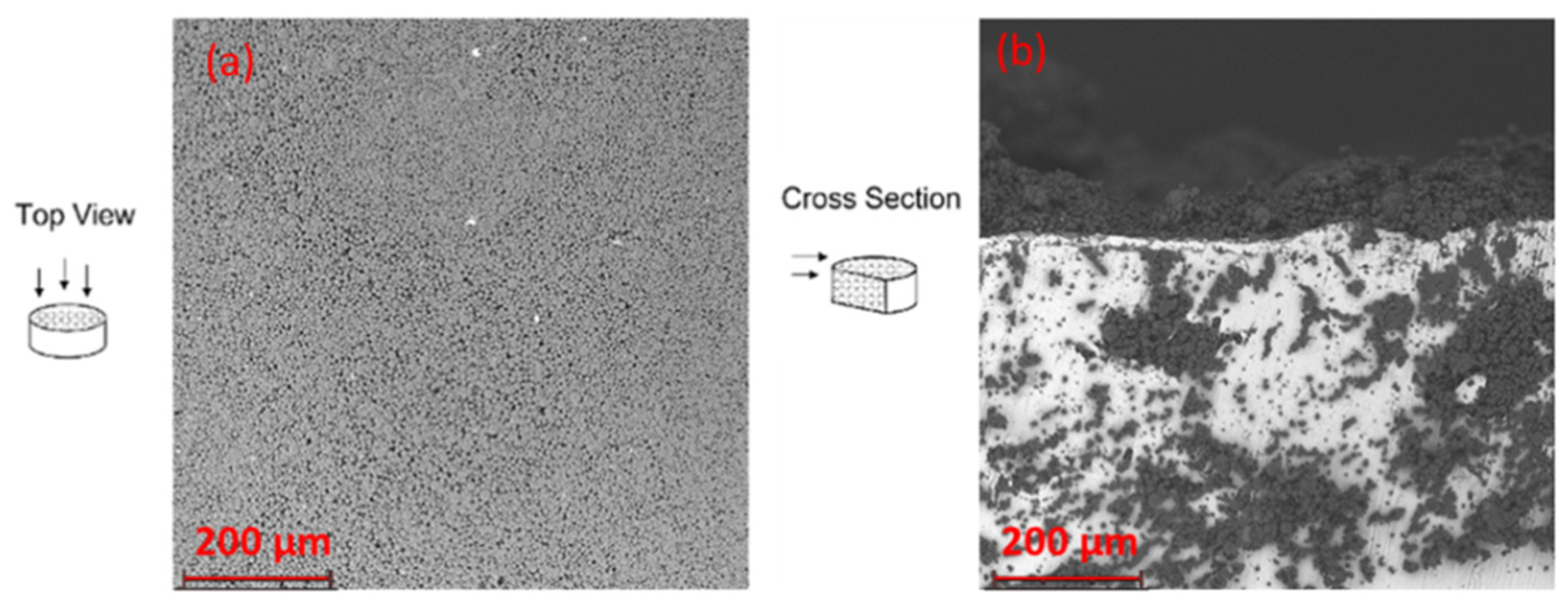 Pharmaceutics 14 01244 g011