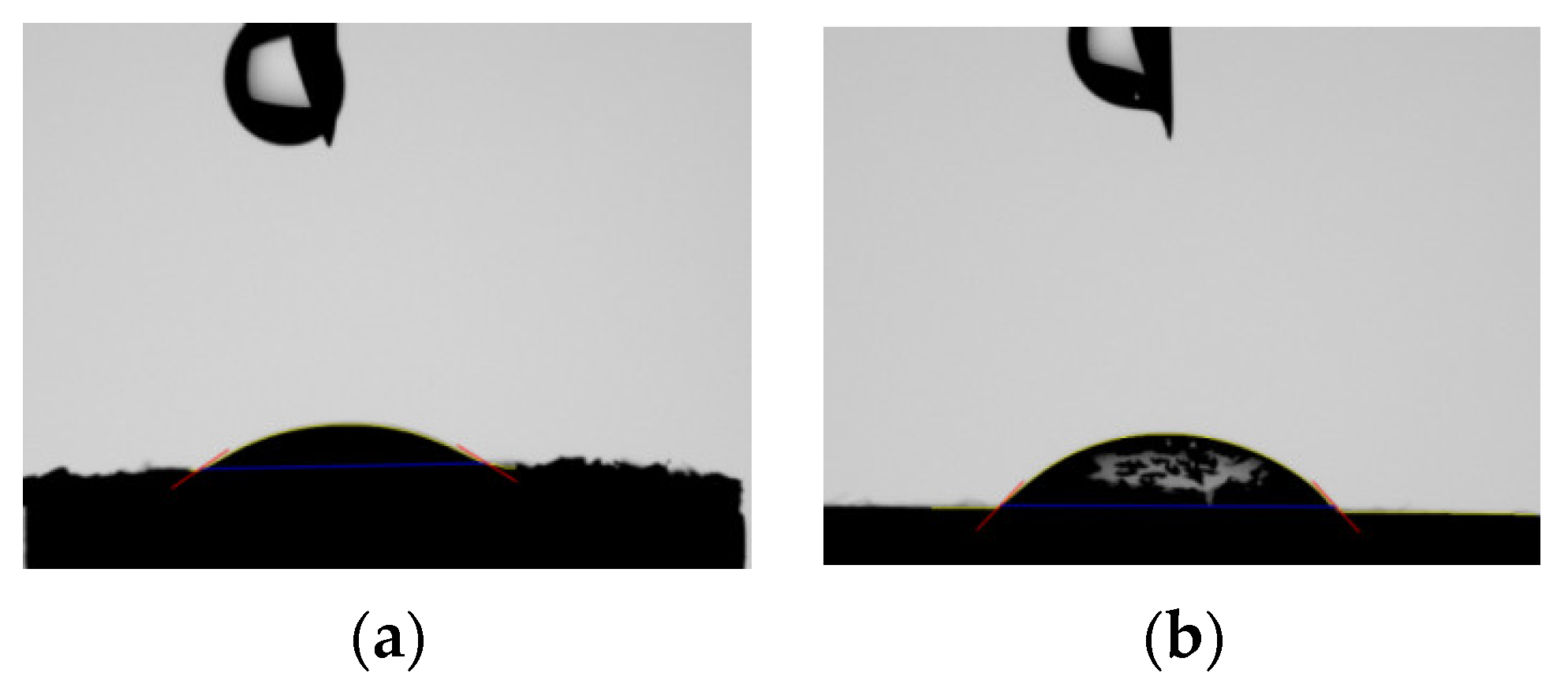 Pharmaceutics 14 01244 g012