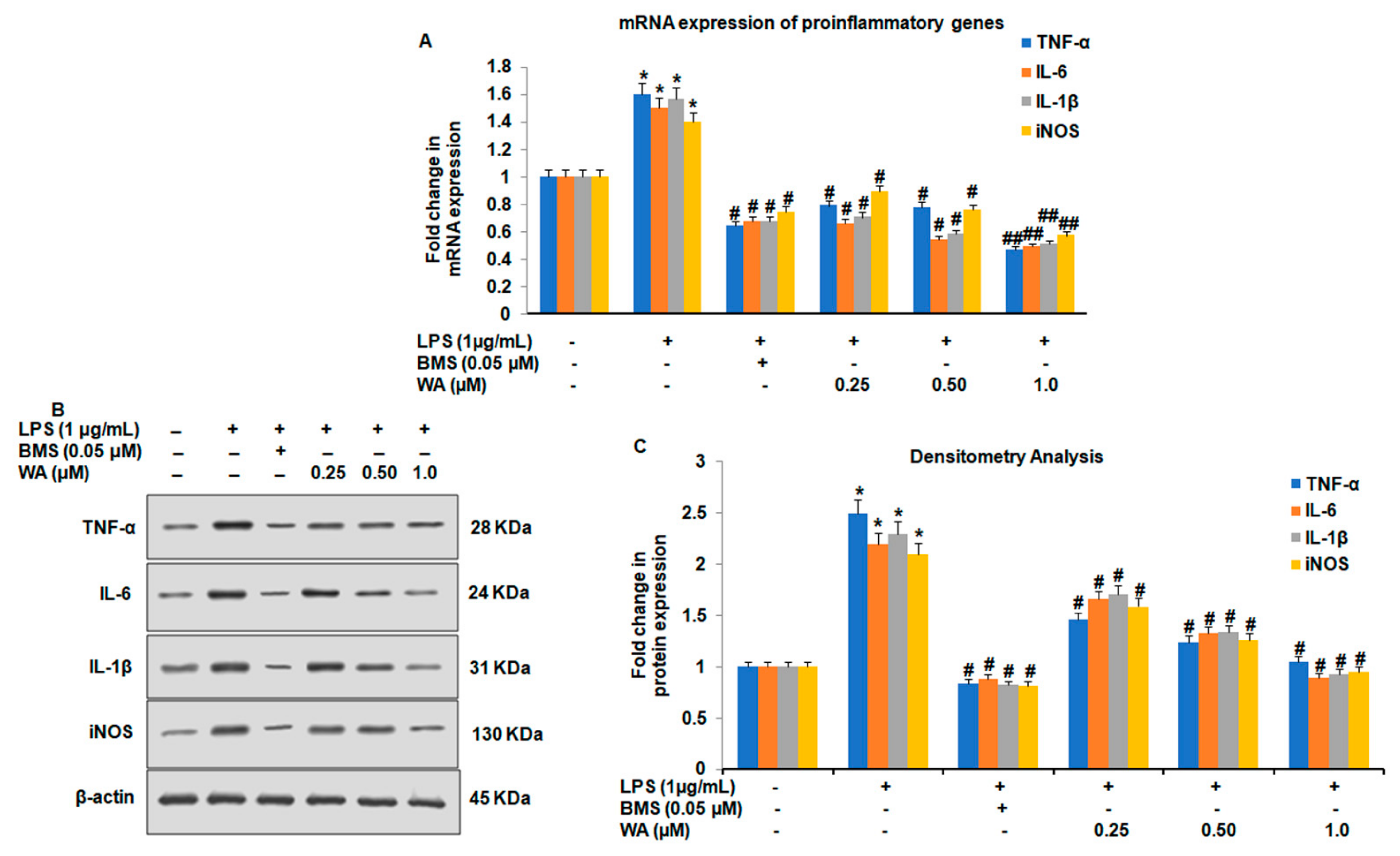 Pharmaceutics 14 01256 g004