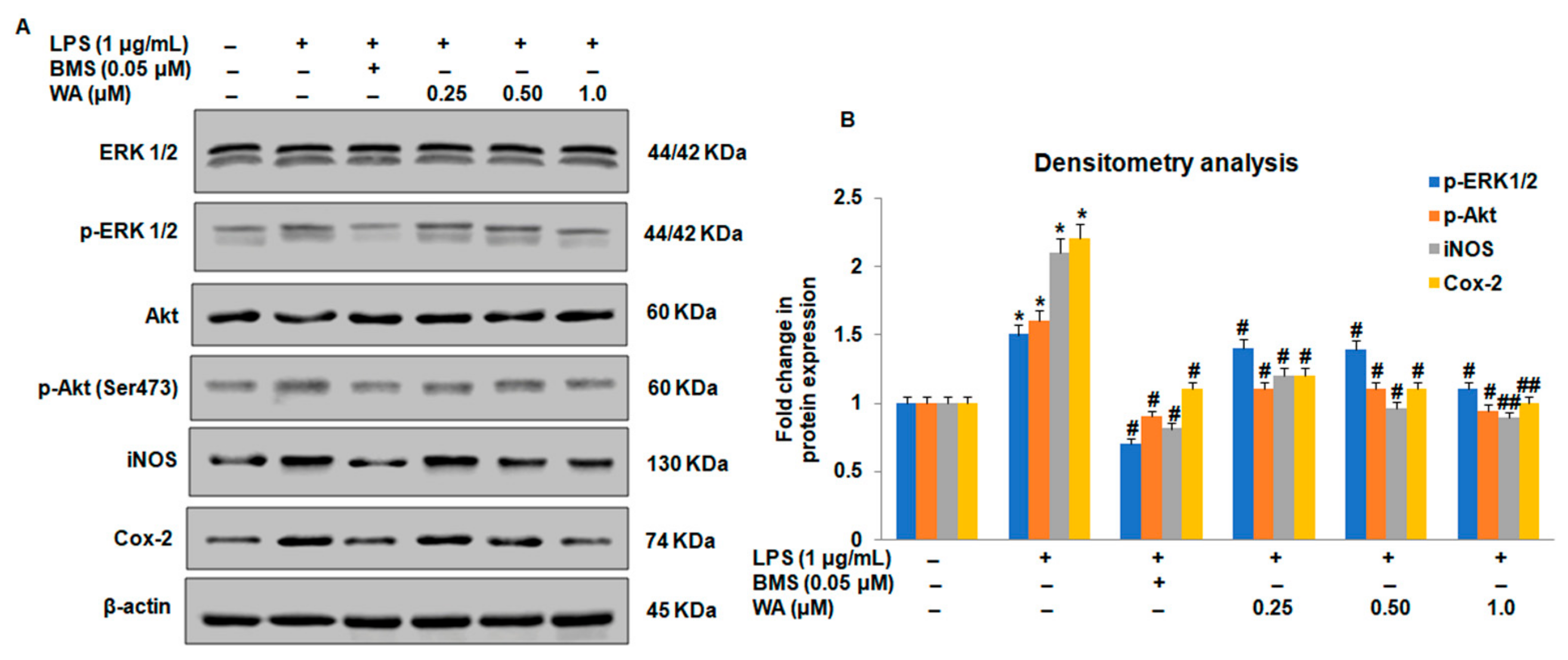 Pharmaceutics 14 01256 g006