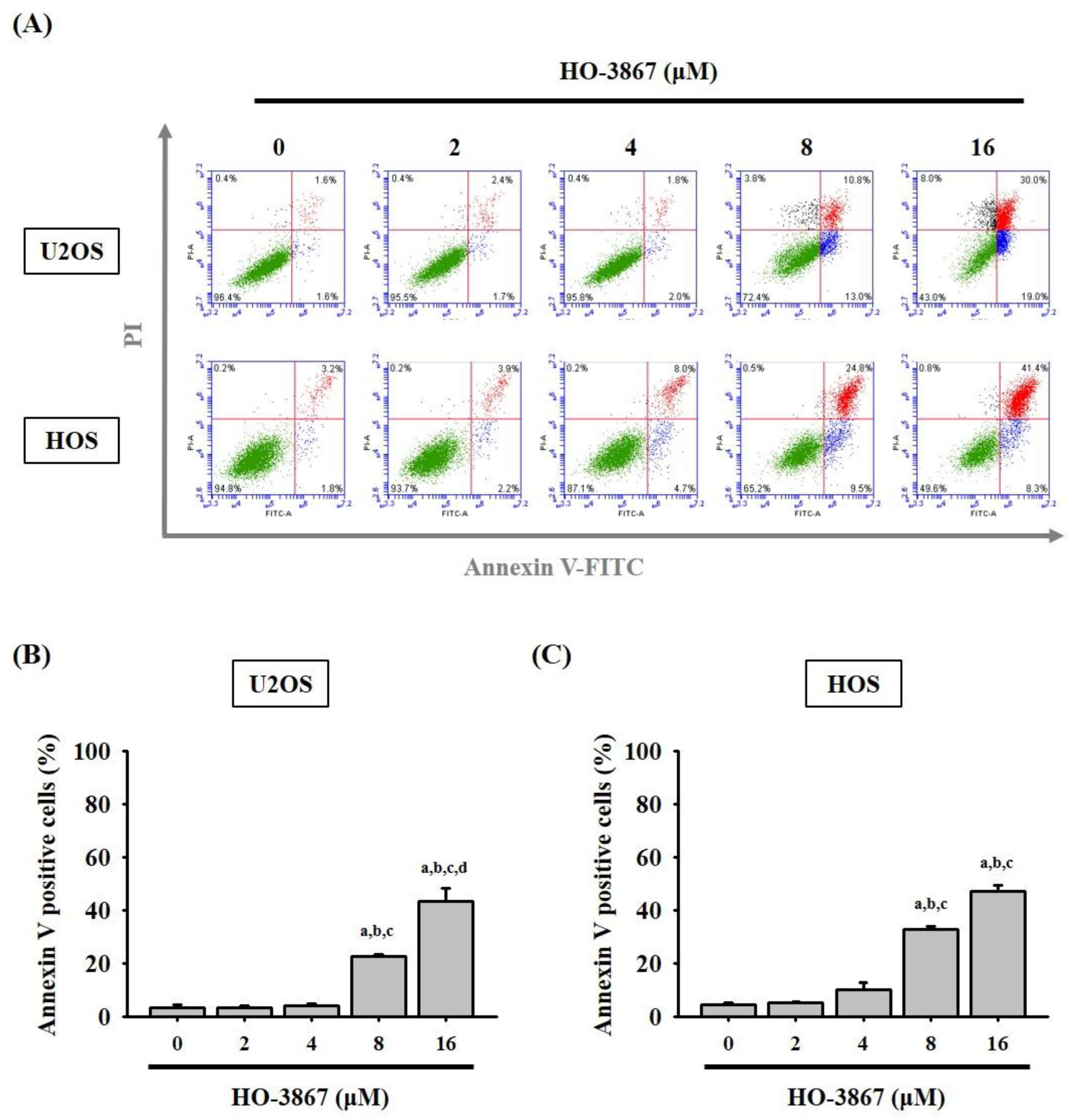Pharmaceutics 14 01257 g003 Pharmaceutics 14 01257 g003