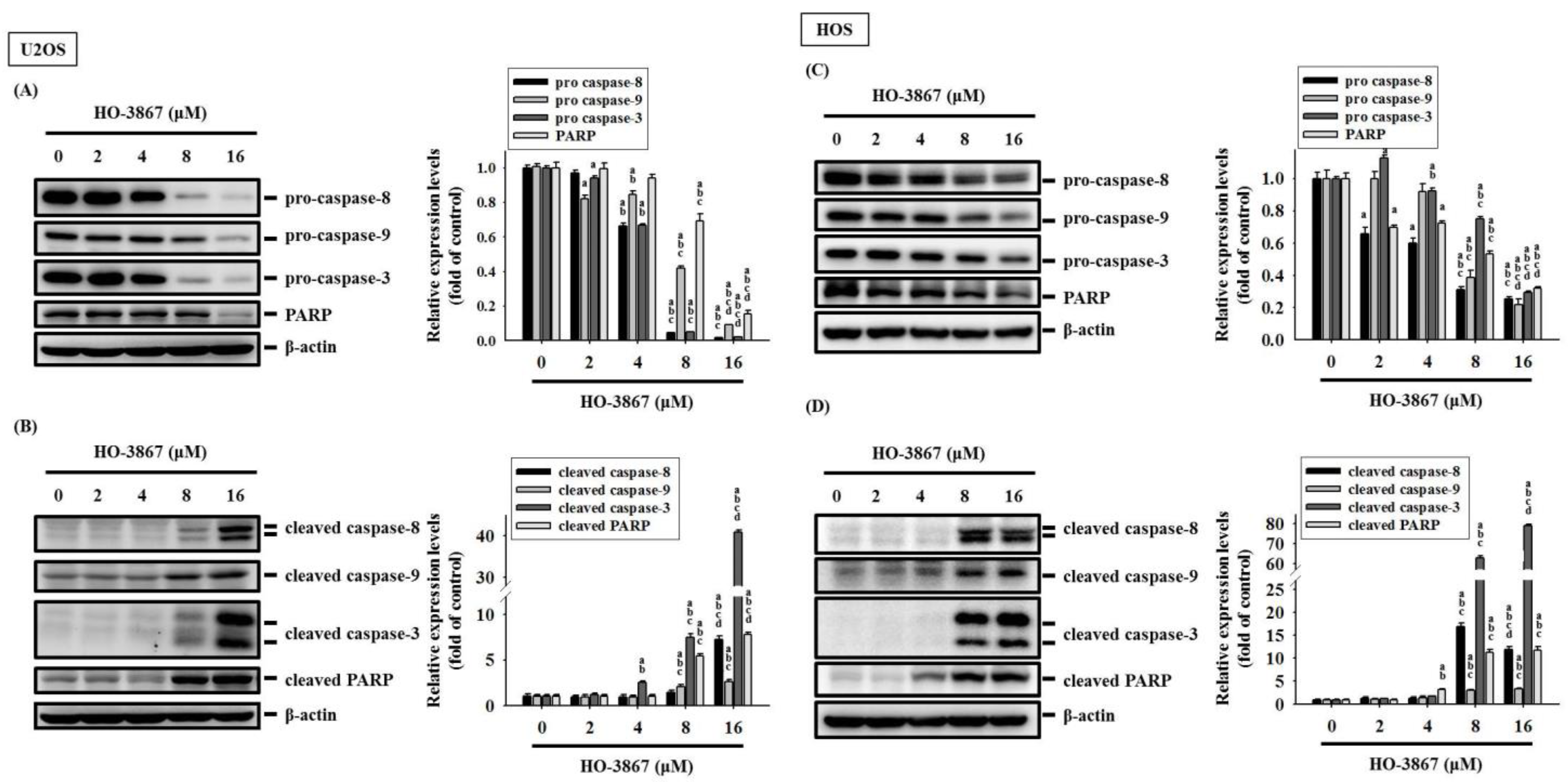 Pharmaceutics 14 01257 g005 Pharmaceutics 14 01257 g005
