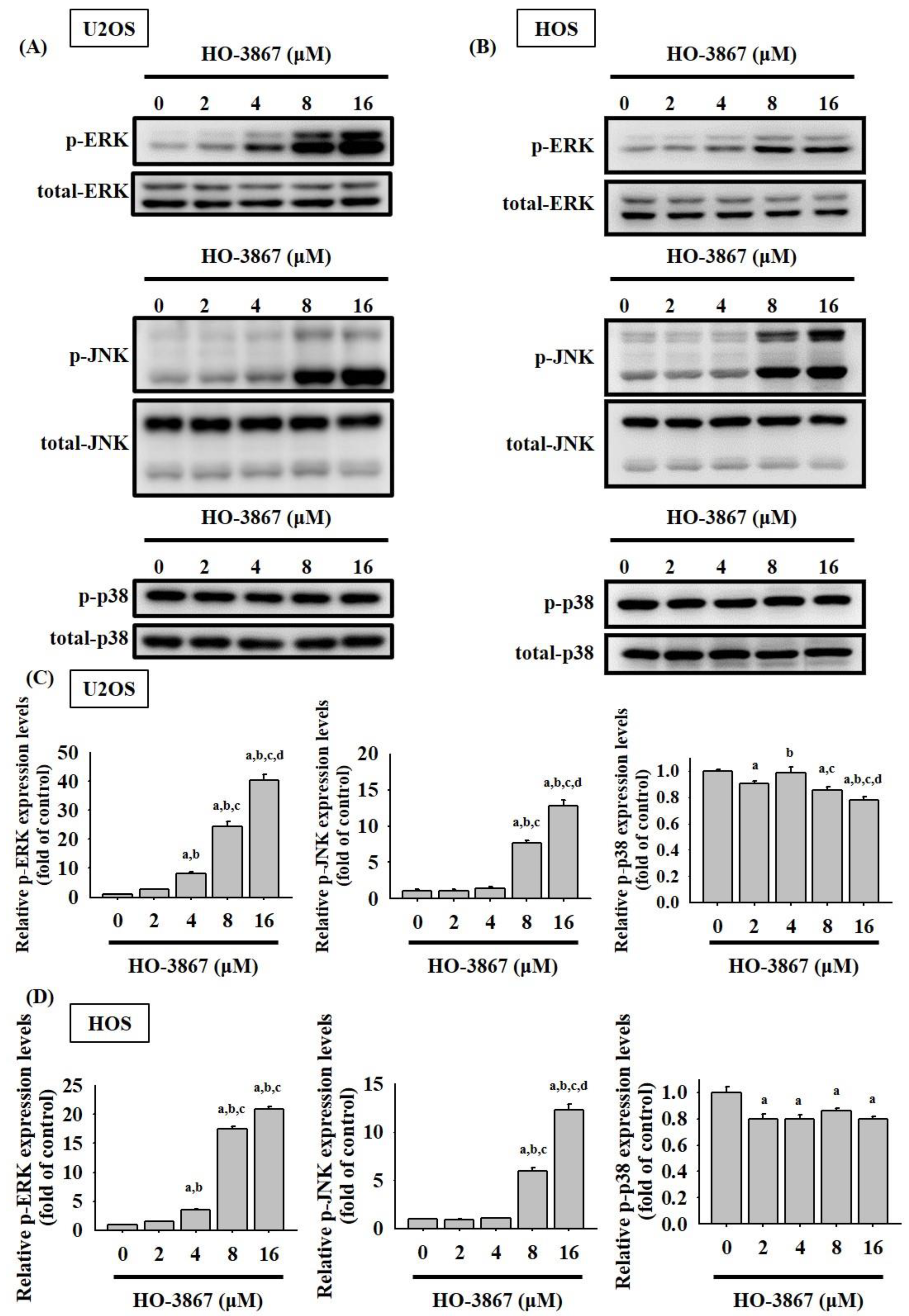 Pharmaceutics 14 01257 g006 Pharmaceutics 14 01257 g006