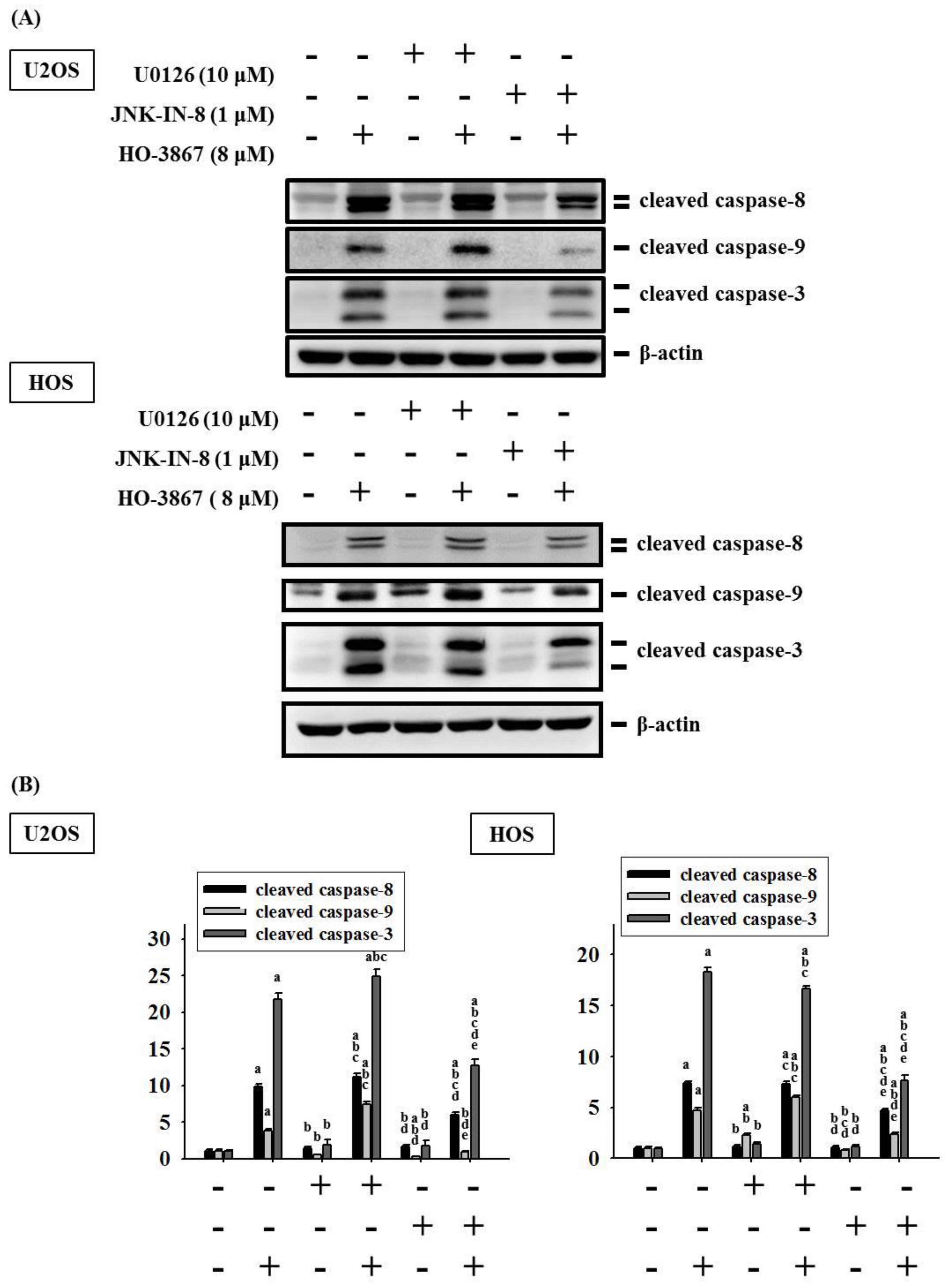 Pharmaceutics 14 01257 g007 Pharmaceutics 14 01257 g007