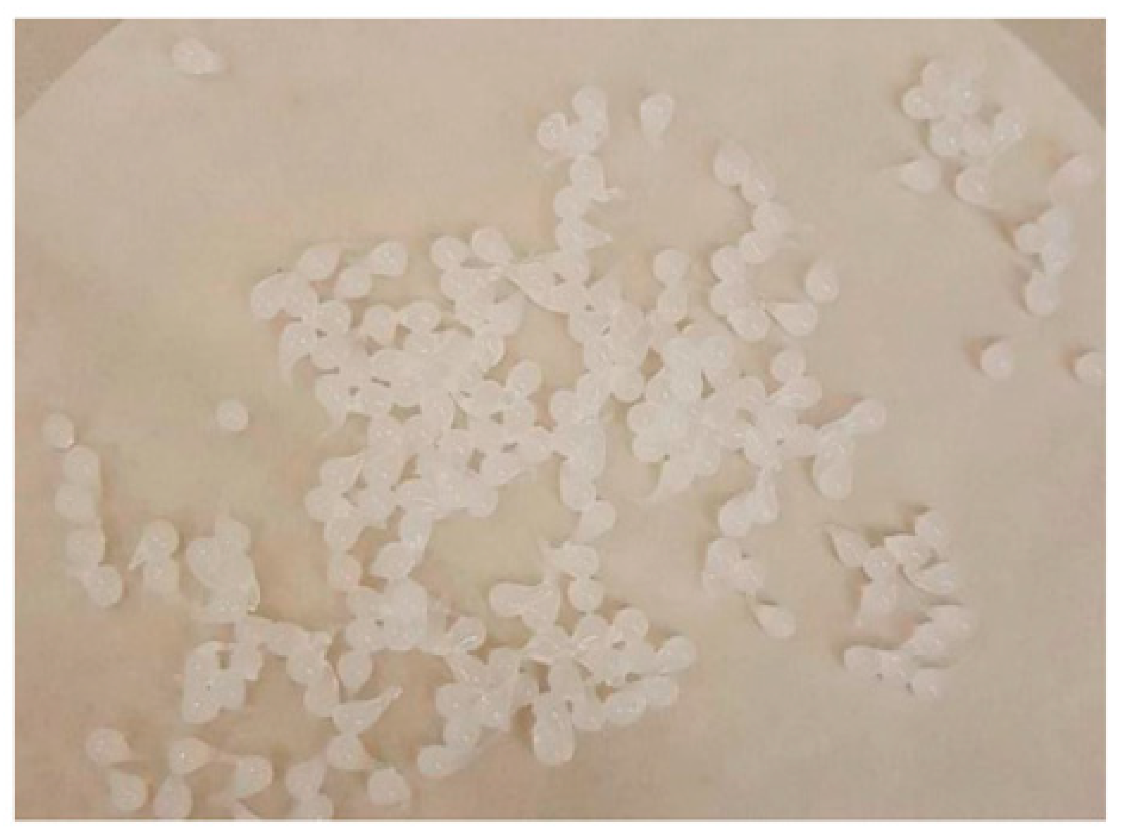 Pharmaceutics 14 01259 g008 550