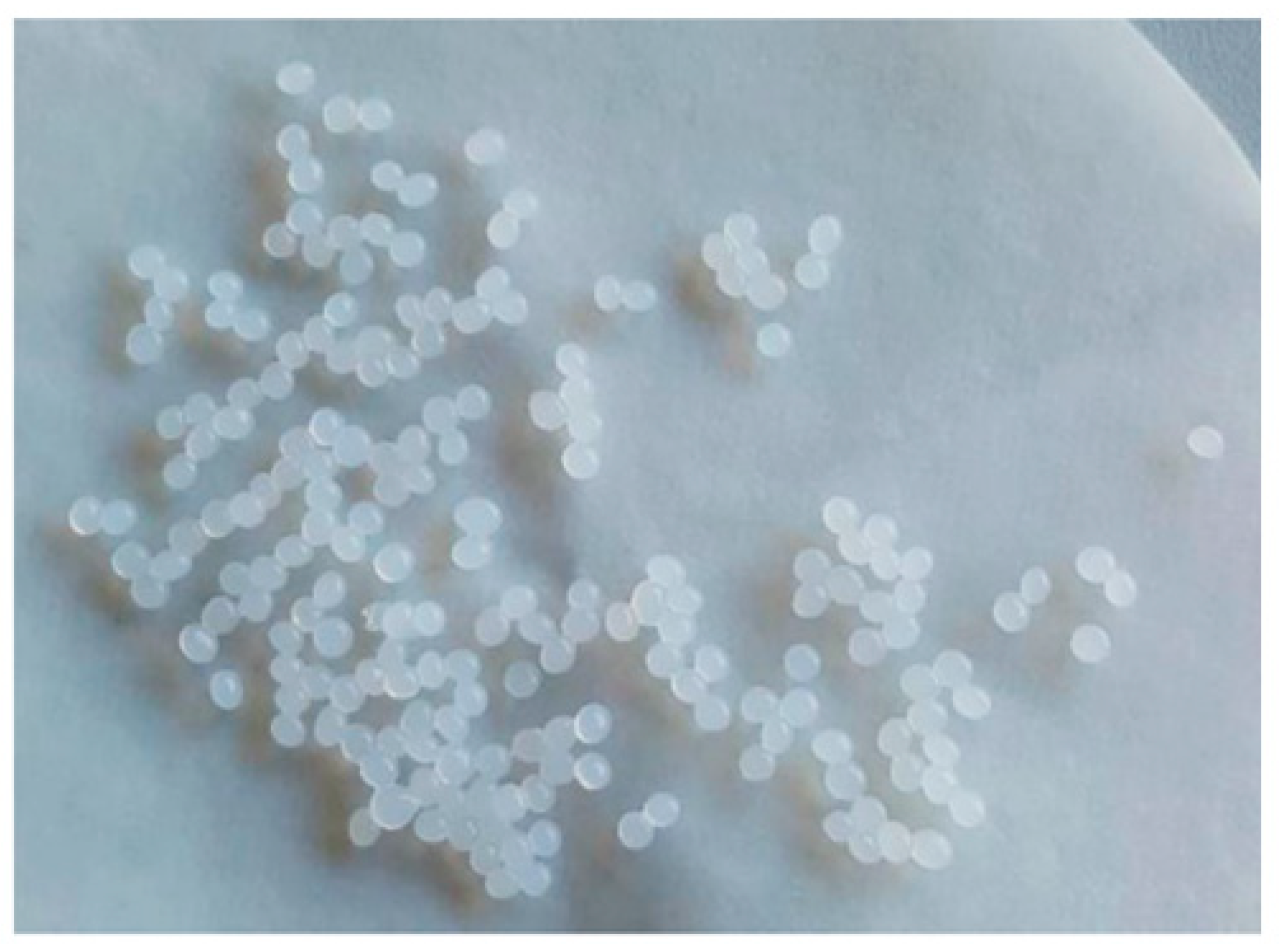 Pharmaceutics 14 01259 g009 550